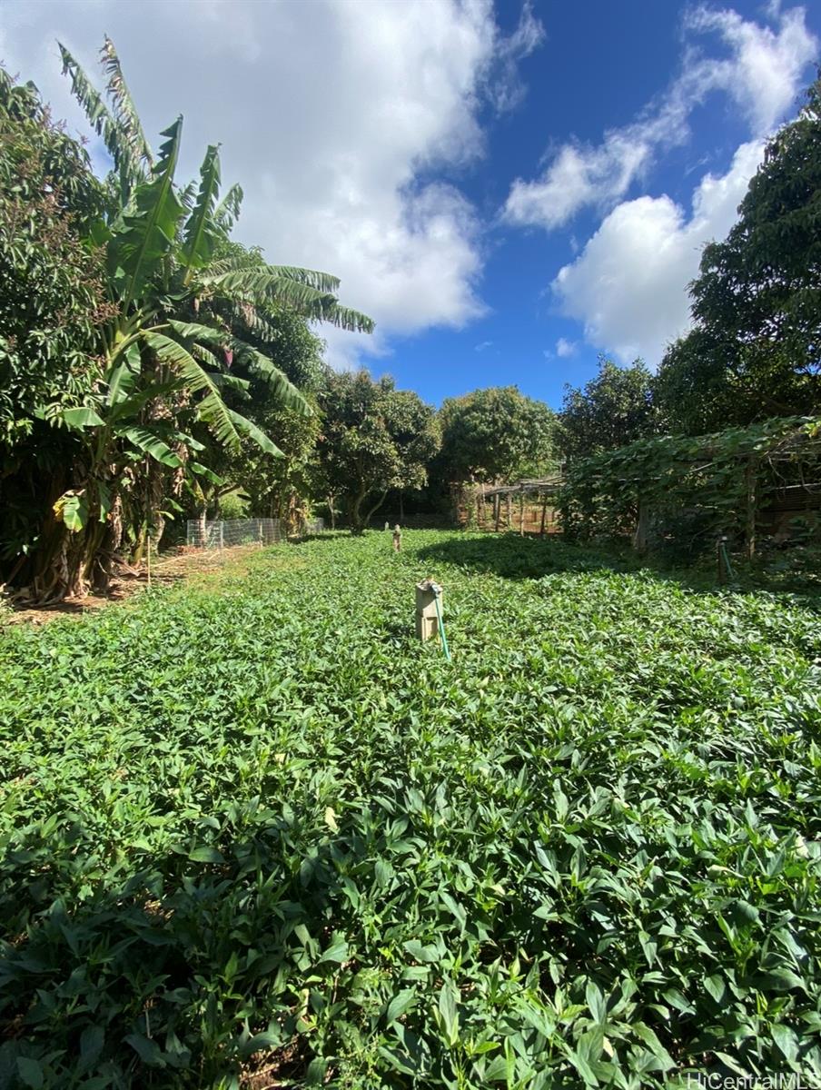 94-1100 KUNIA Road 086F Waipahu, Hi vacant land for sale - photo 7 of 11