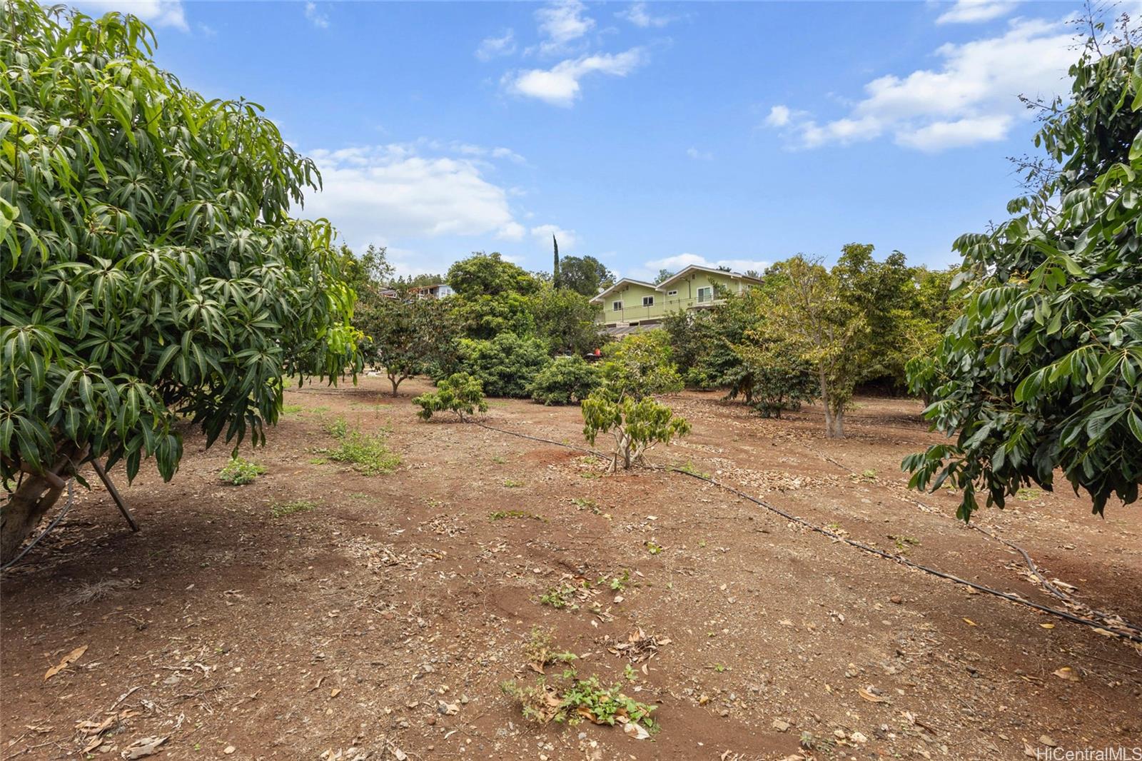 94-1100 Kunia Road 12A Waipahu, Hi vacant land for sale - photo 4 of 20