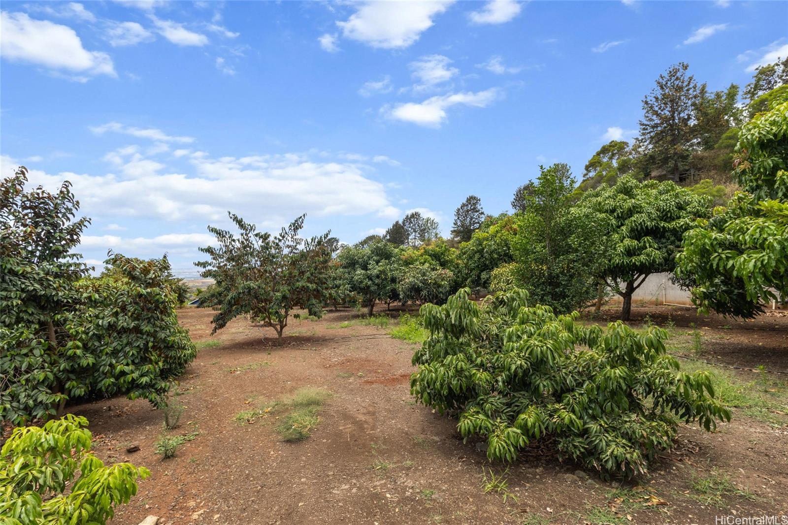 94-1100 Kunia Road 12A Waipahu, Hi vacant land for sale - photo 5 of 20