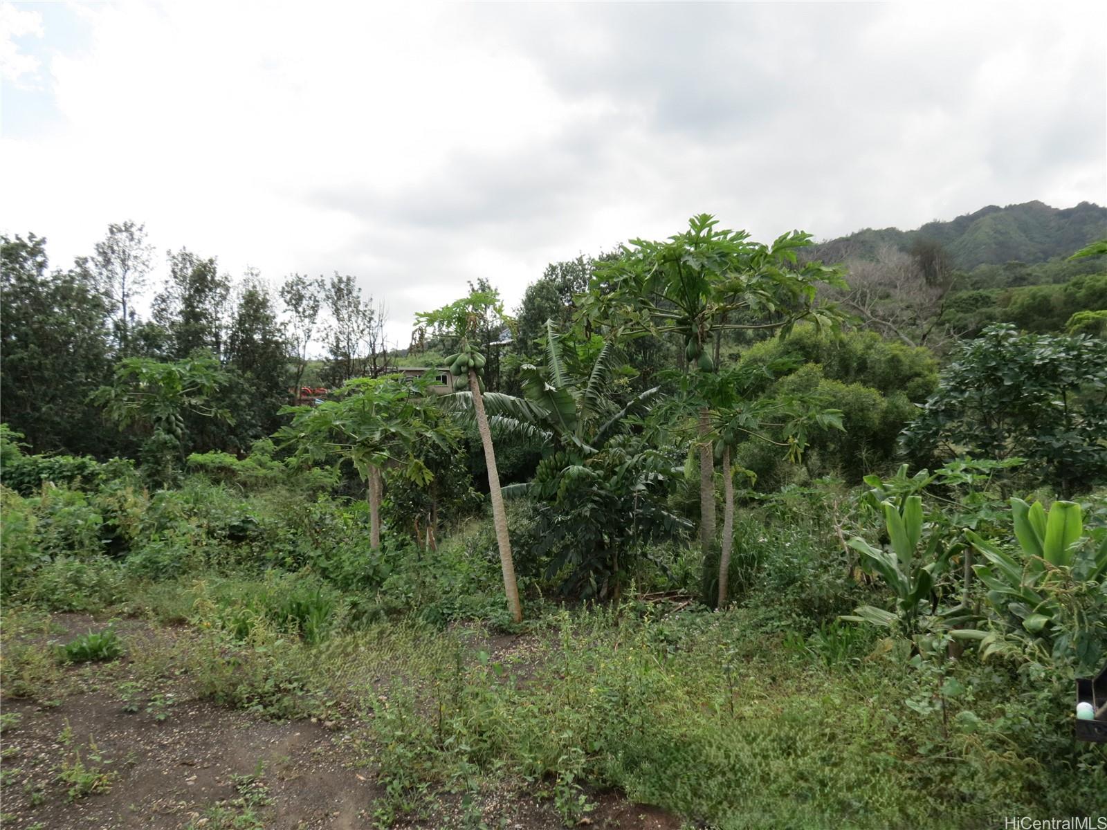 94-1100 Kunia Road 42F Waipahu, Hi vacant land for sale - photo 13 of 25