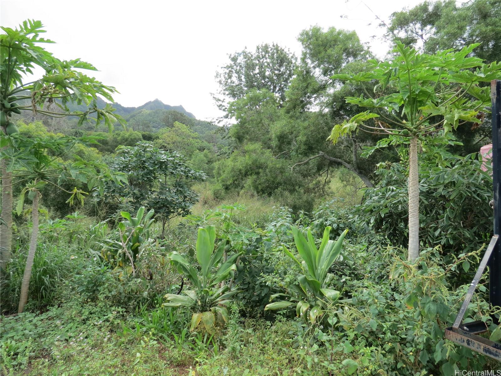 94-1100 Kunia Road 42F Waipahu, Hi vacant land for sale - photo 15 of 25