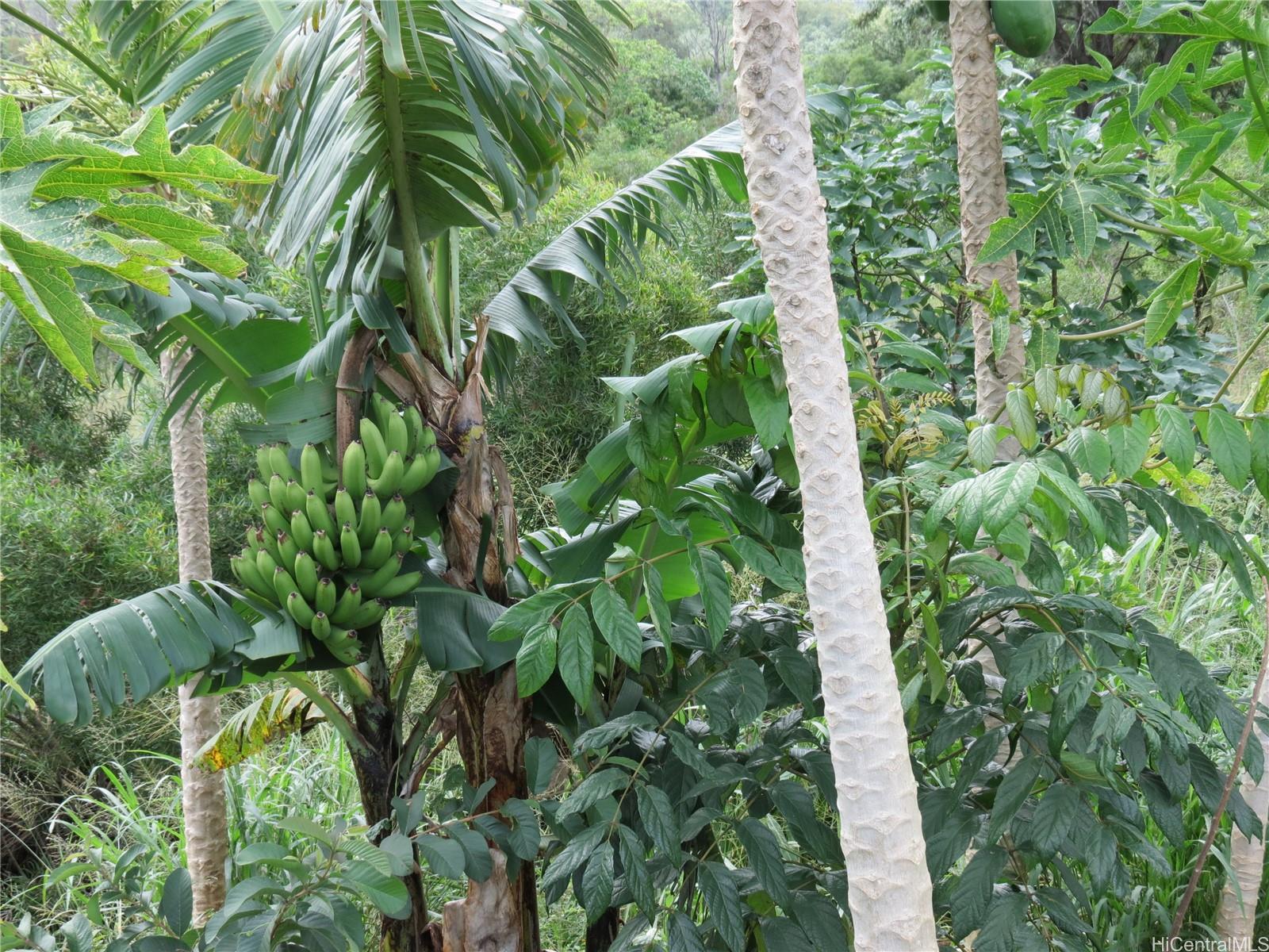 94-1100 Kunia Road 42F Waipahu, Hi vacant land for sale - photo 18 of 25