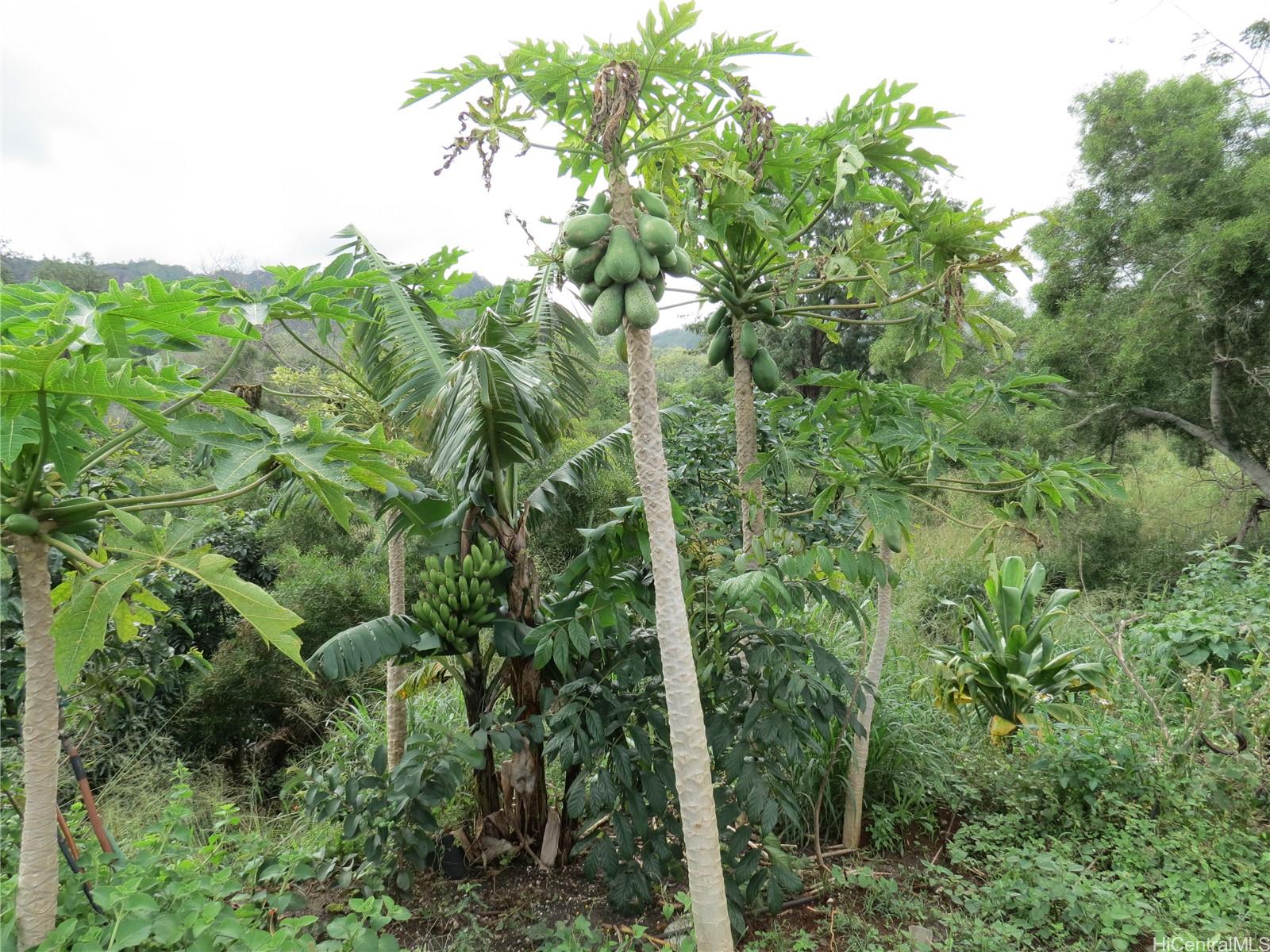 94-1100 Kunia Road 42F Waipahu, Hi vacant land for sale - photo 19 of 25