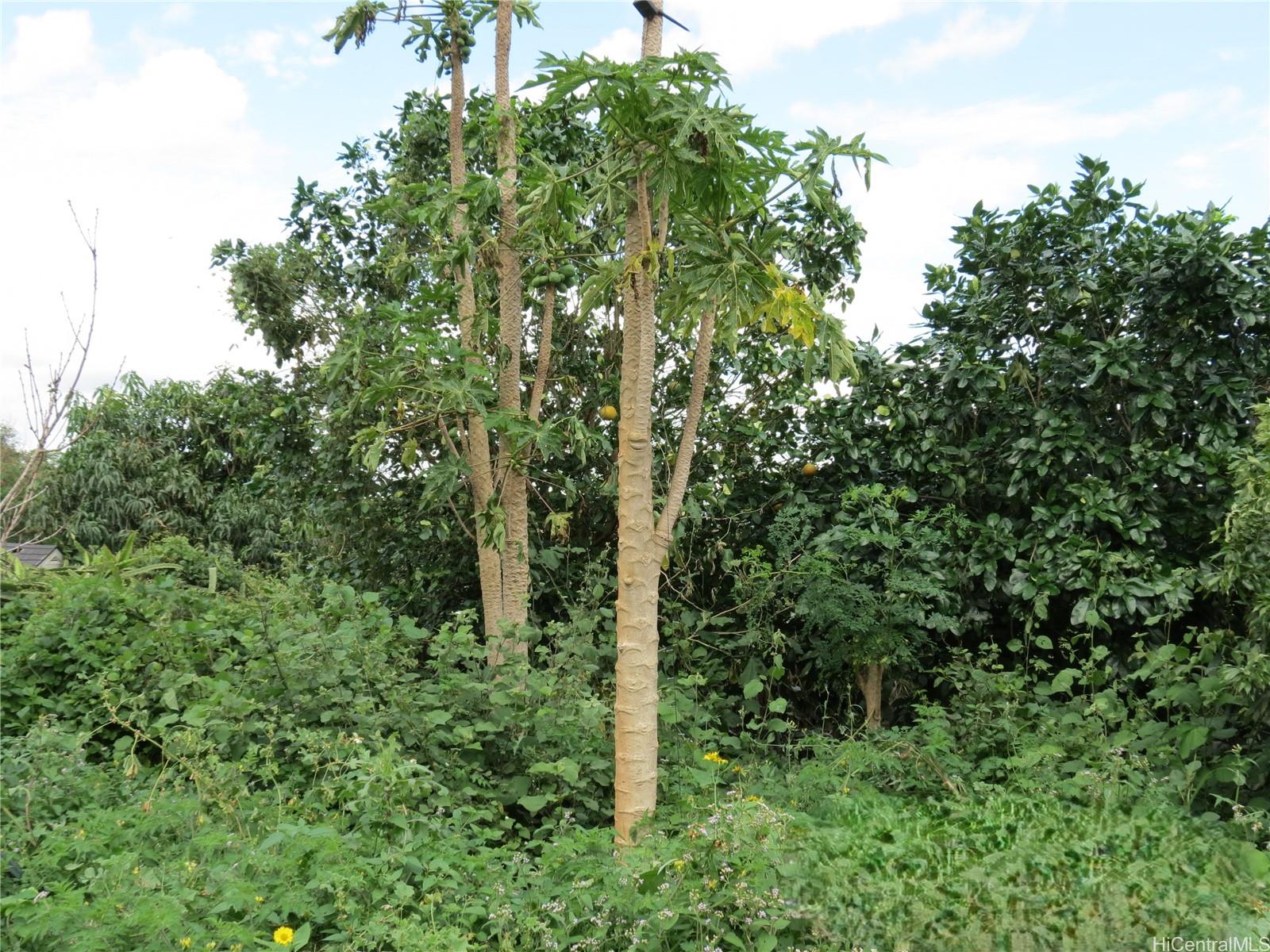 94-1100 Kunia Road 42F Waipahu, Hi vacant land for sale - photo 20 of 25