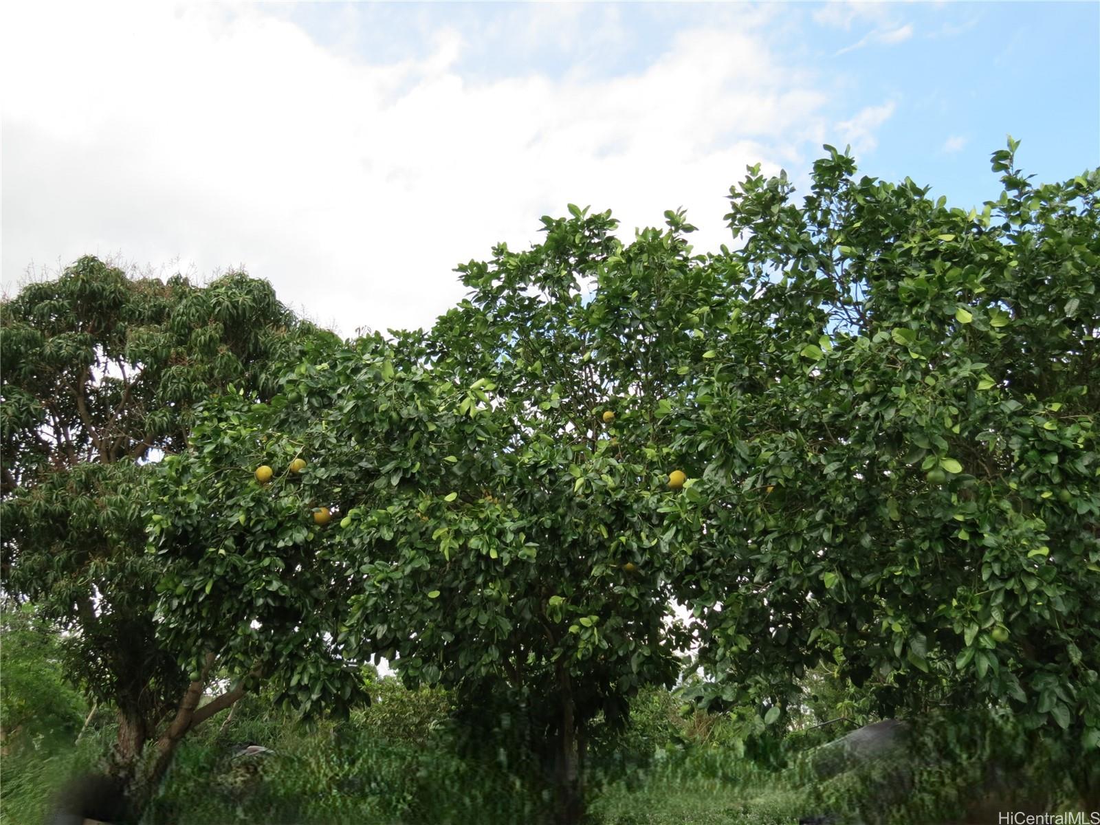 94-1100 Kunia Road 42F Waipahu, Hi vacant land for sale - photo 21 of 25