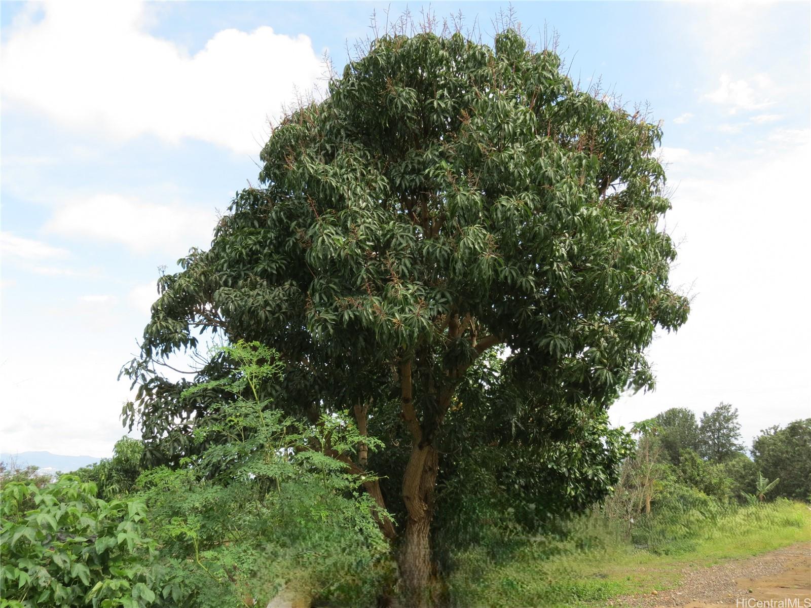 94-1100 Kunia Road 42F Waipahu, Hi vacant land for sale - photo 24 of 25