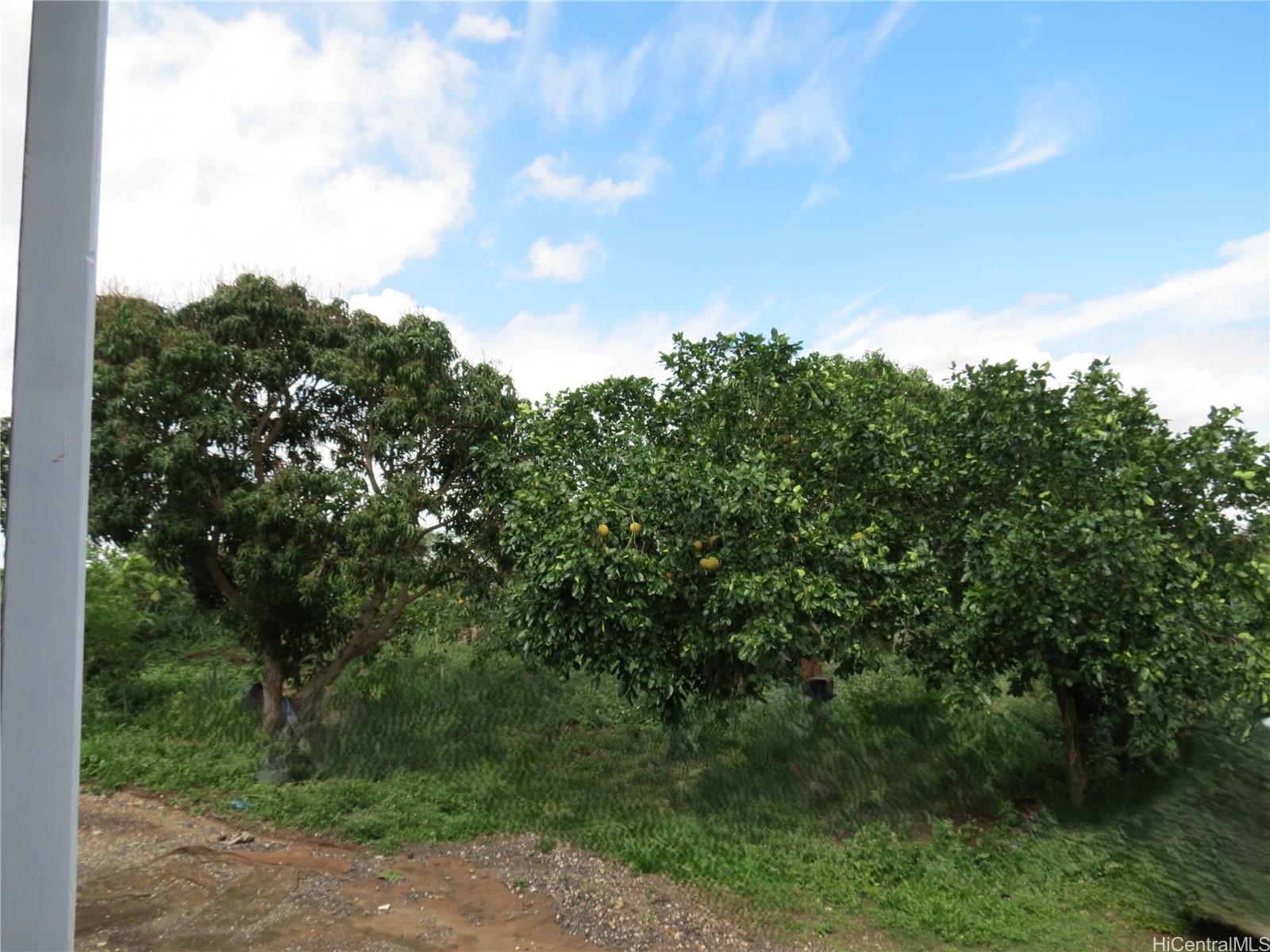 94-1100 Kunia Road 42F Waipahu, Hi vacant land for sale - photo 6 of 25