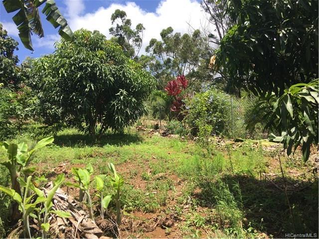 94-1100 KUNIA Road 56 I Waipahu, Hi vacant land for sale - photo 7 of 8