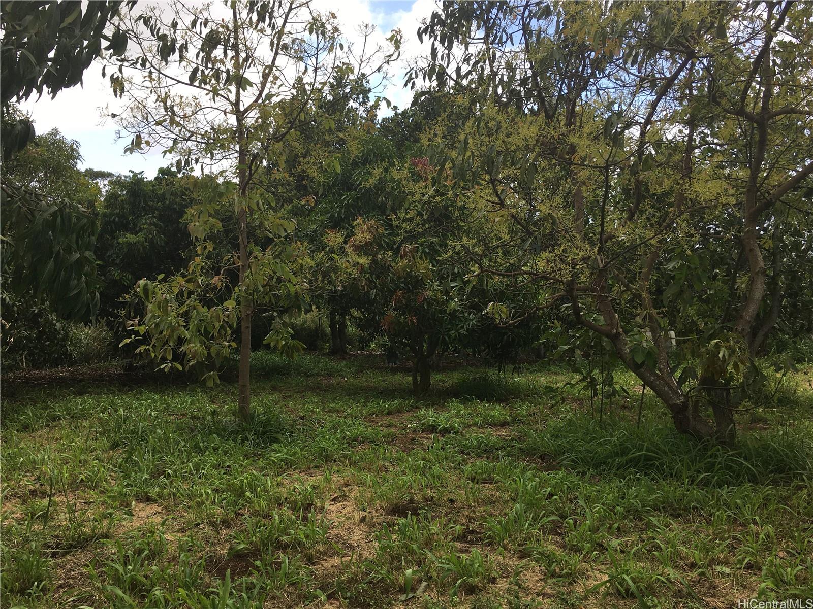 94-1100 KUNIA Road Waipahu Oahu commercial real estate photo3 of 6