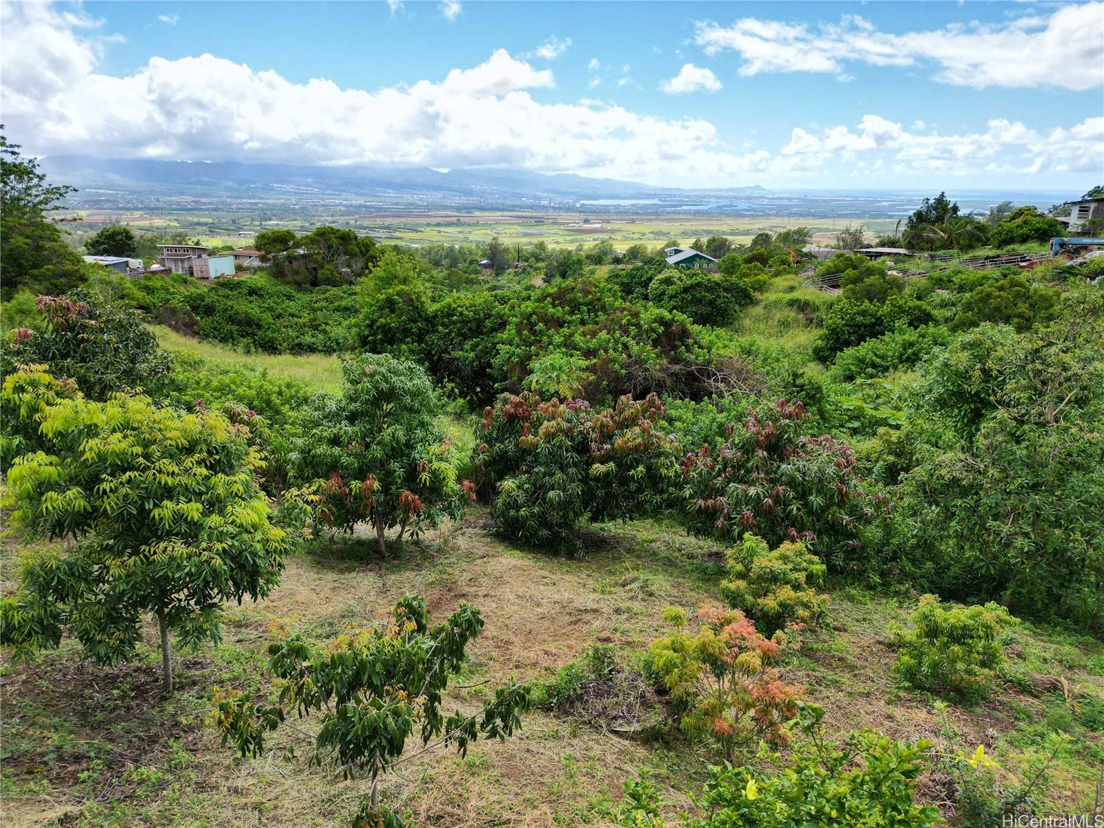 941100 Kunia Road 57G, Waipahu, Hi 96797 Ag/preserve