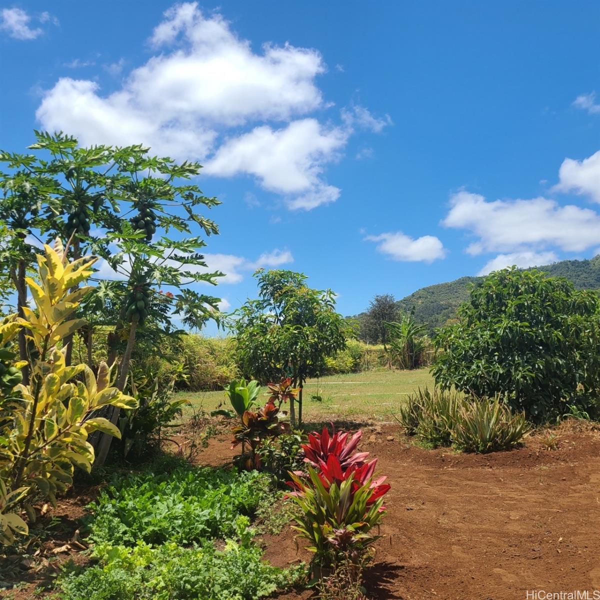 94-1100 Kunia Rd 72-C Waipahu, Hi vacant land for sale - photo 2 of 22