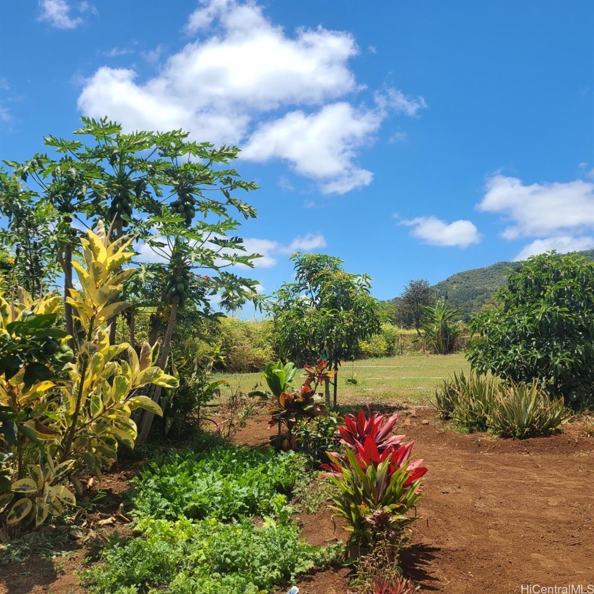 94-1100 Kunia Rd 72-C Waipahu, Hi vacant land for sale - photo 11 of 22