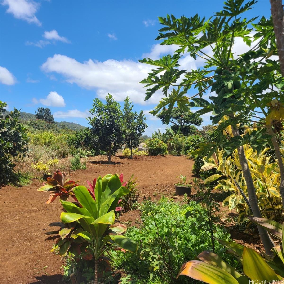 94-1100 Kunia Rd 72-C Waipahu, Hi vacant land for sale - photo 3 of 22