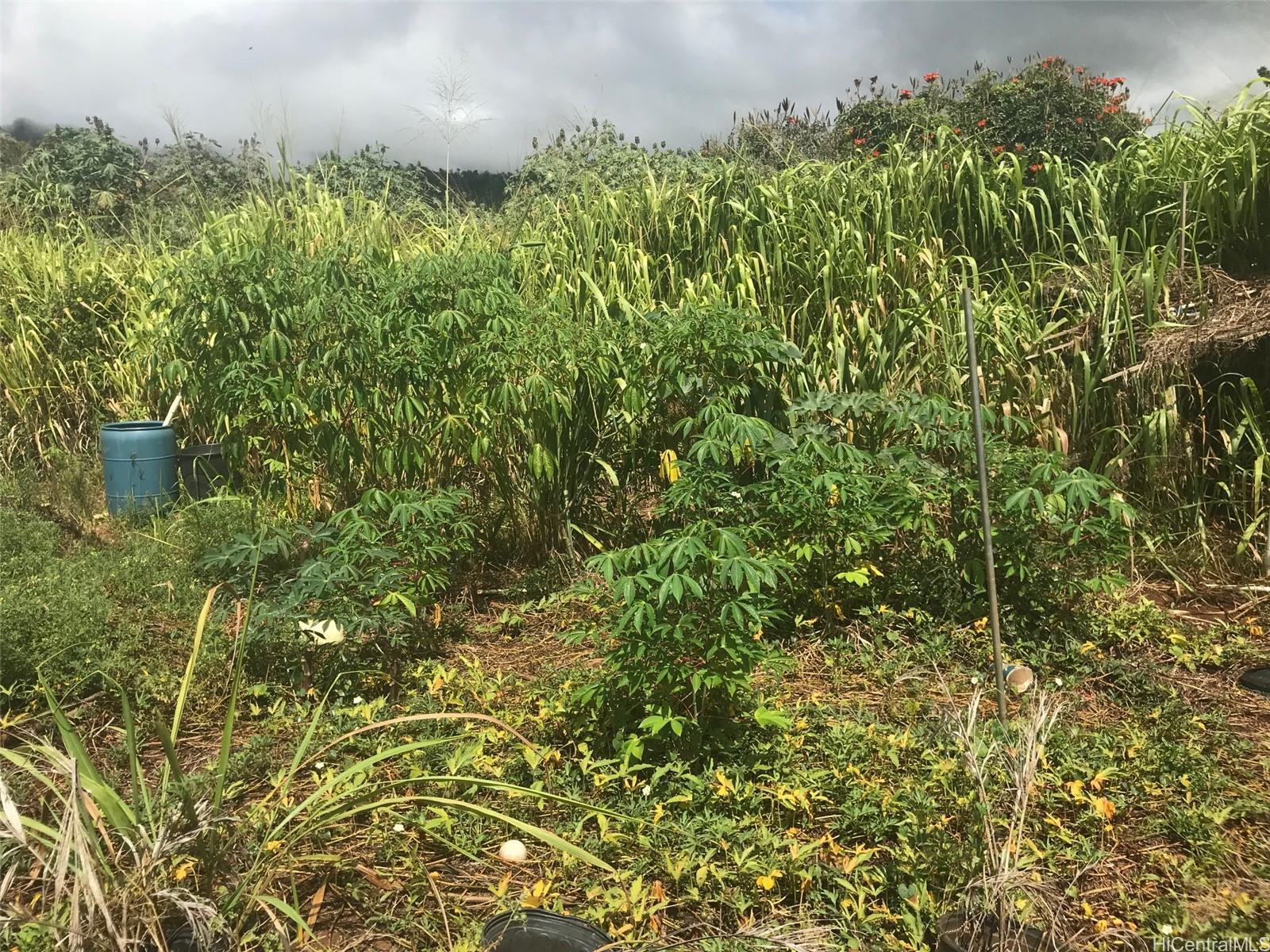 94-1100 Kunia Rd 72-C Waipahu, Hi vacant land for sale - photo 22 of 22