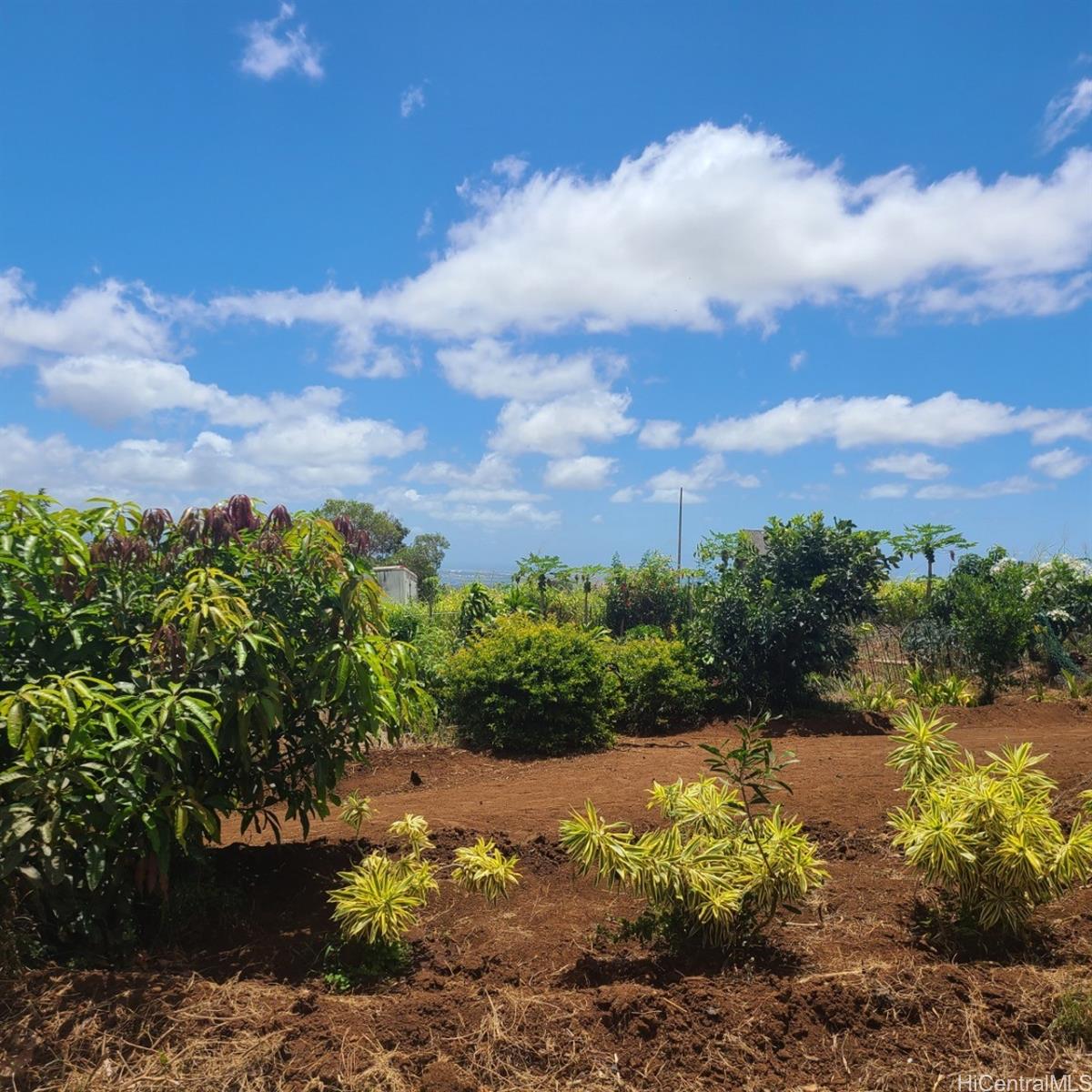 94-1100 Kunia Rd 72-C Waipahu, Hi vacant land for sale - photo 9 of 22