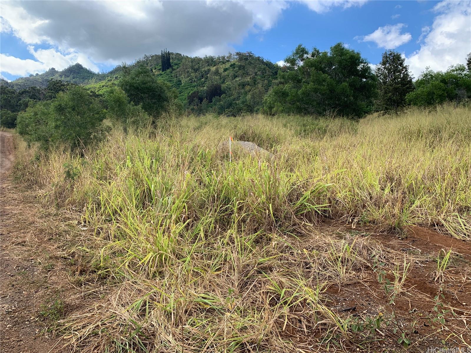 94-1100 Kunia Rd 88 Waipahu, Hi vacant land for sale - photo 2 of 3