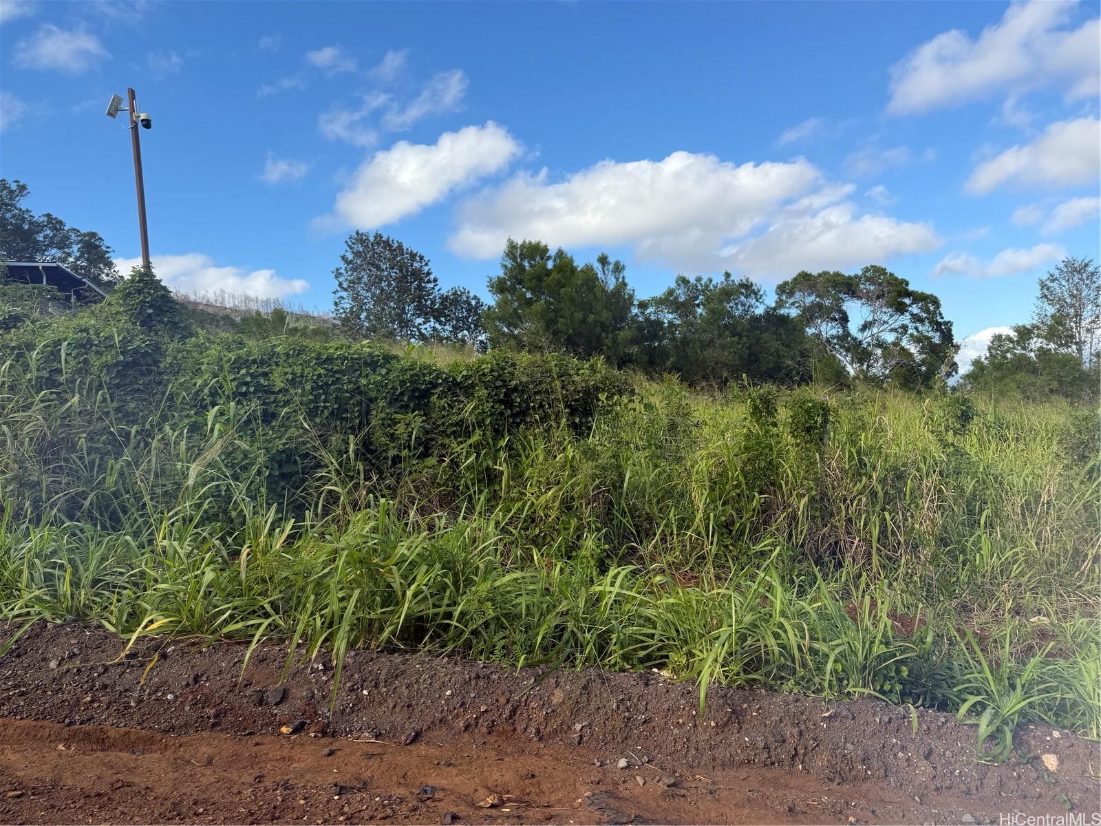 94-1100 KUNIA Road 99C-2,3 Waipahu, Hi vacant land for sale - photo 6 of 6