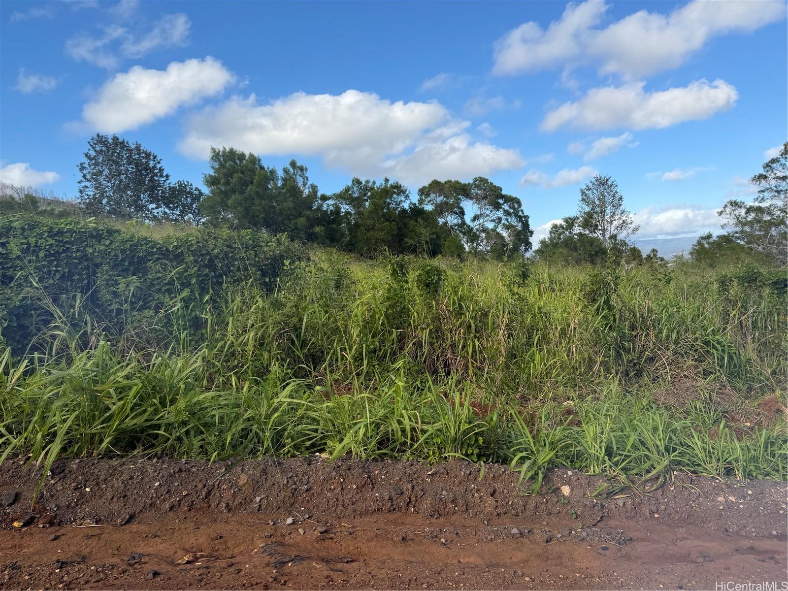 94-1100 Kunia Rd 9 C-5 Waipahu, Hi vacant land for sale - photo 3 of 8
