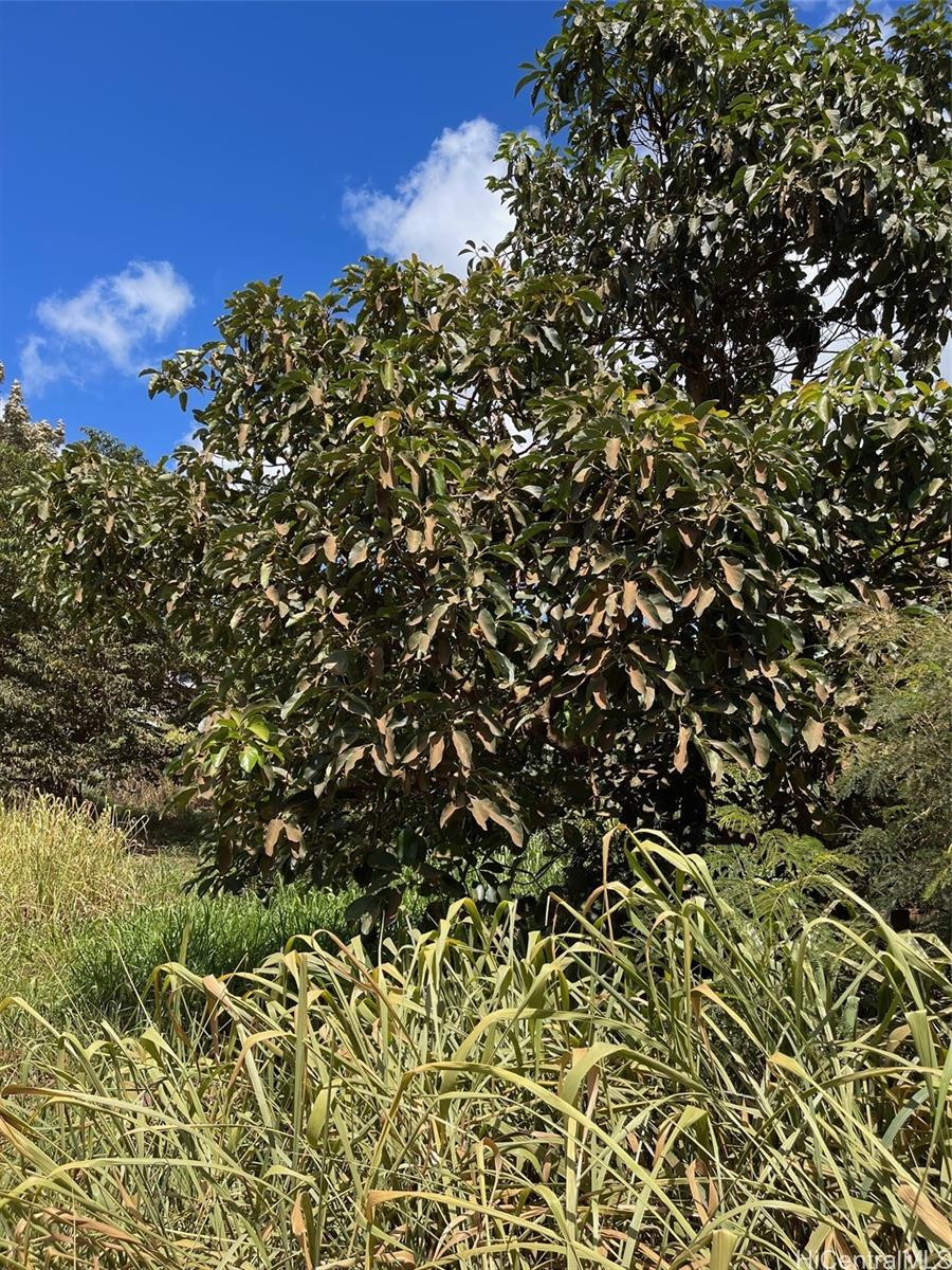 94-1100 KUNIA RD LOT 68 C Kunia Rd 068 Waipahu, Hi vacant land for sale - photo 2 of 6