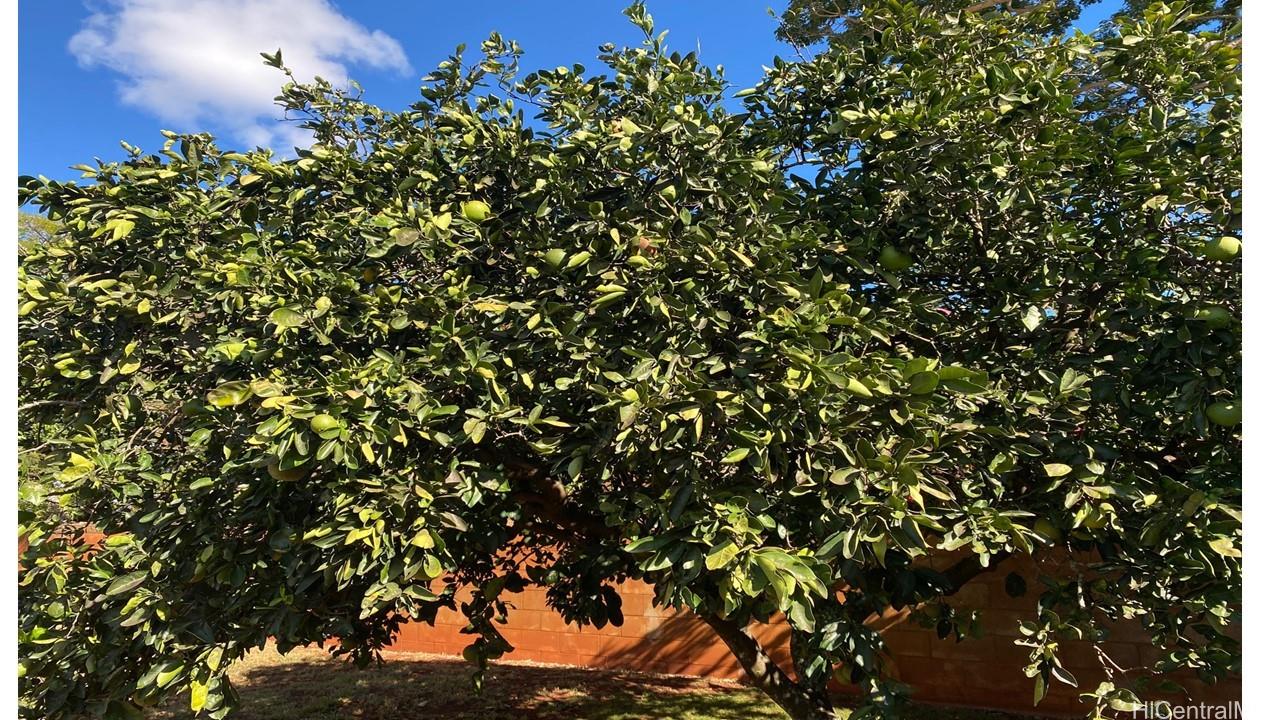 94-396 Makalu Loop Mililani - Rental - photo 22 of 25