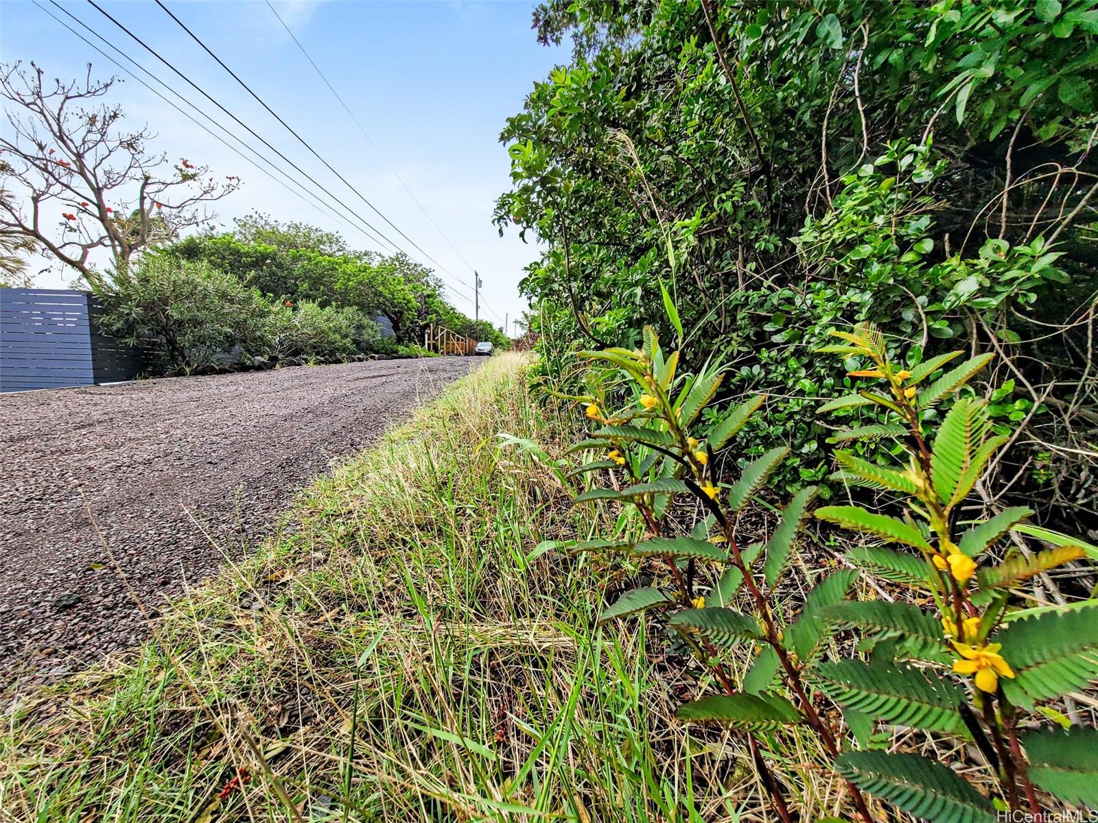 94-6518 Puukani Road  Naalehu, Hi vacant land for sale - photo 9 of 25