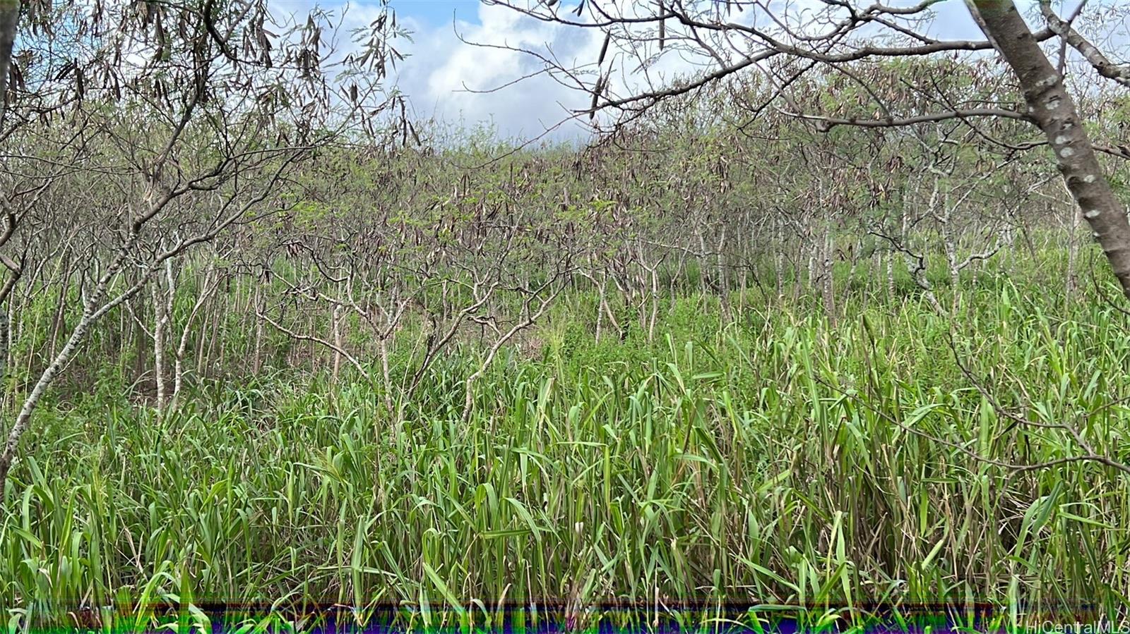 94944 Anoiki Street Unit 5 Waipahu Royal Kunia Land For sale