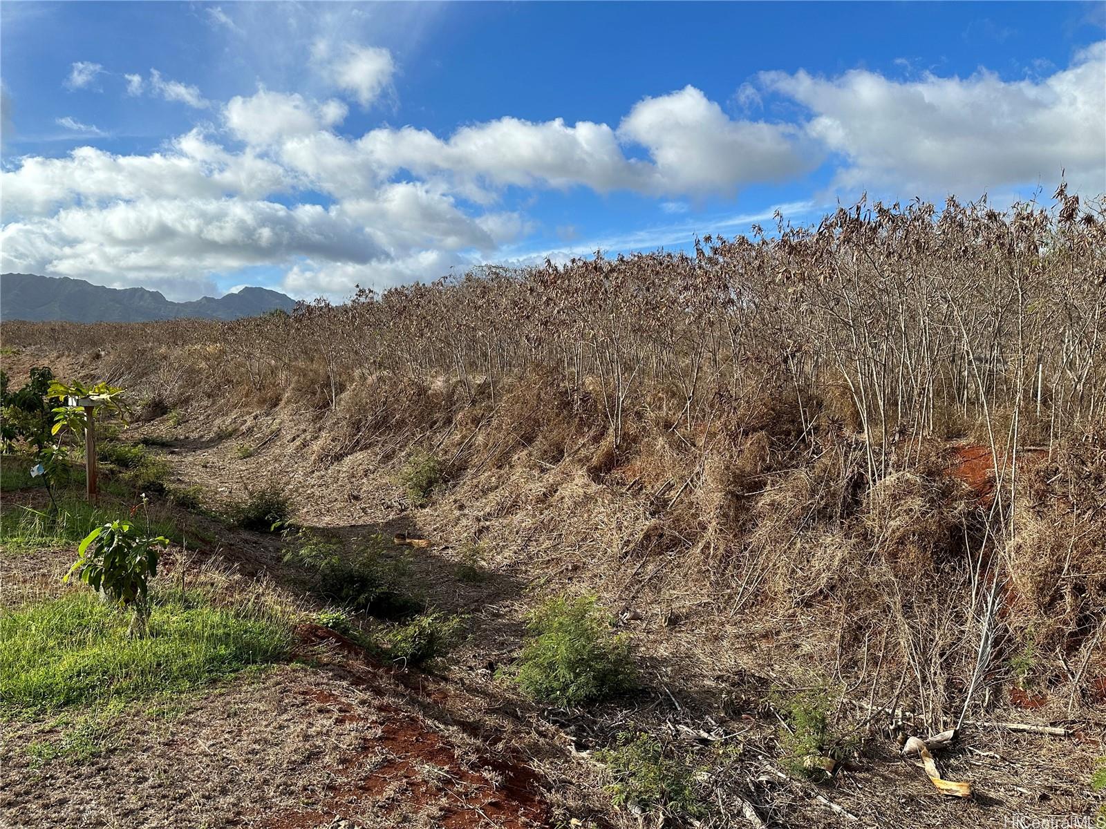 94-944 Kunia Rd  Waipahu, Hi vacant land for sale - photo 3 of 8
