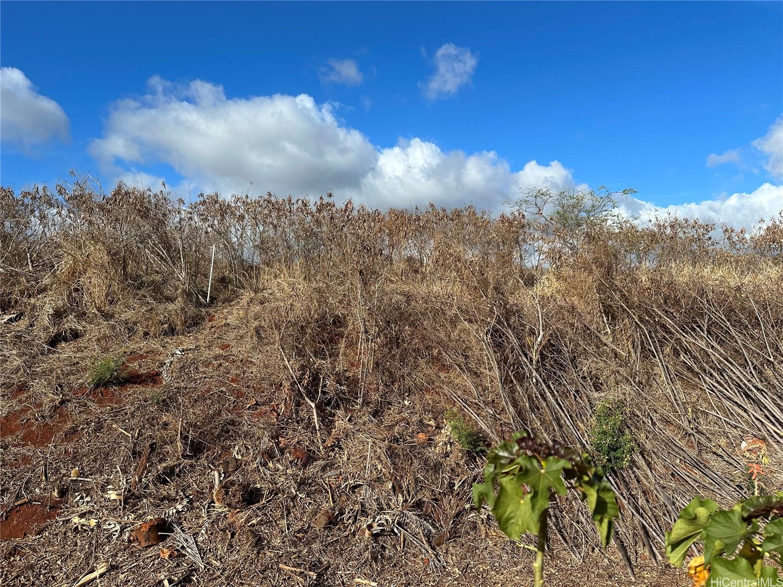 94-944 Kunia Rd  Waipahu, Hi vacant land for sale - photo 4 of 8