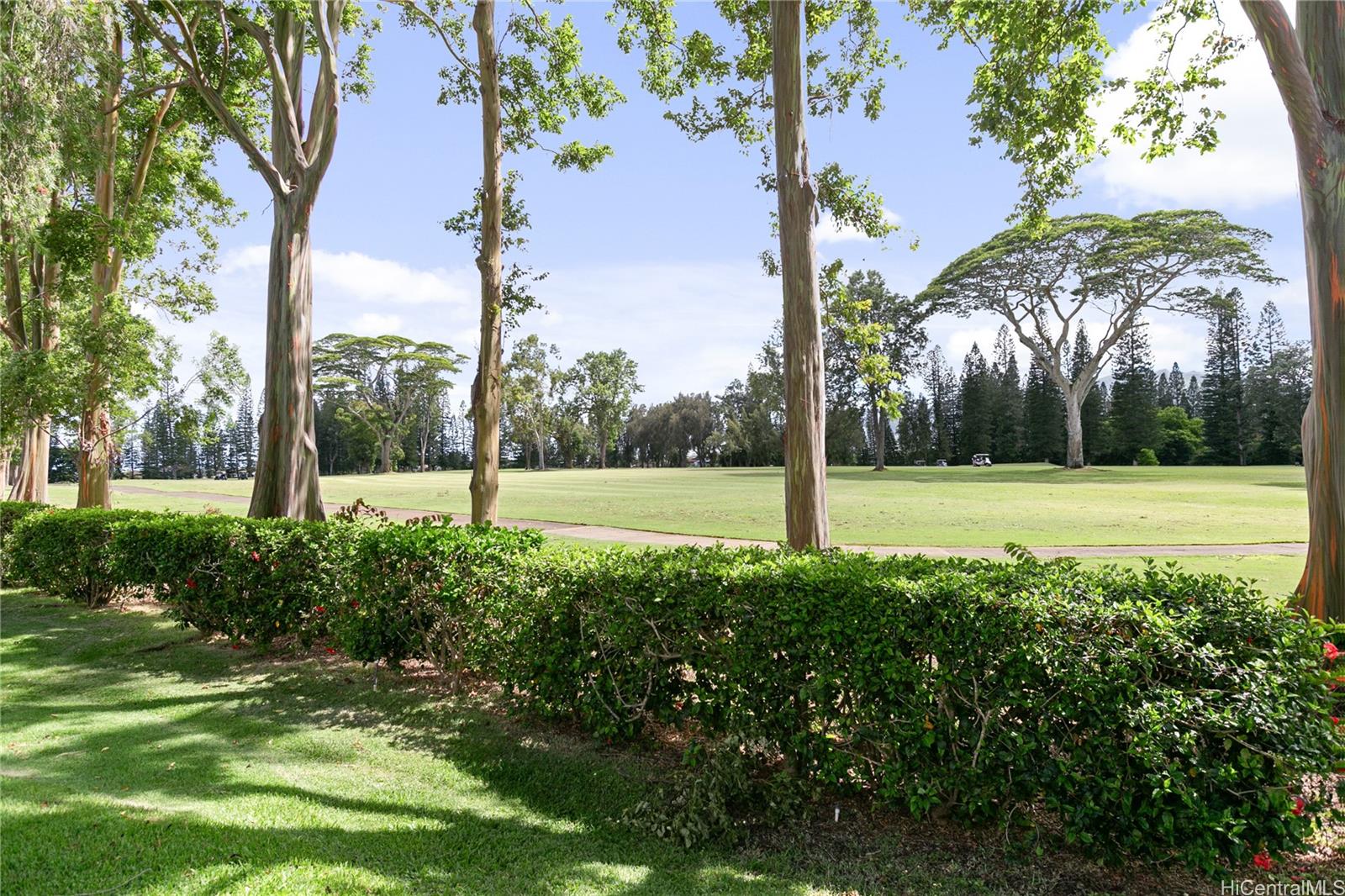 Fairway Village condo # 143, Mililani, Hawaii - photo 25 of 25