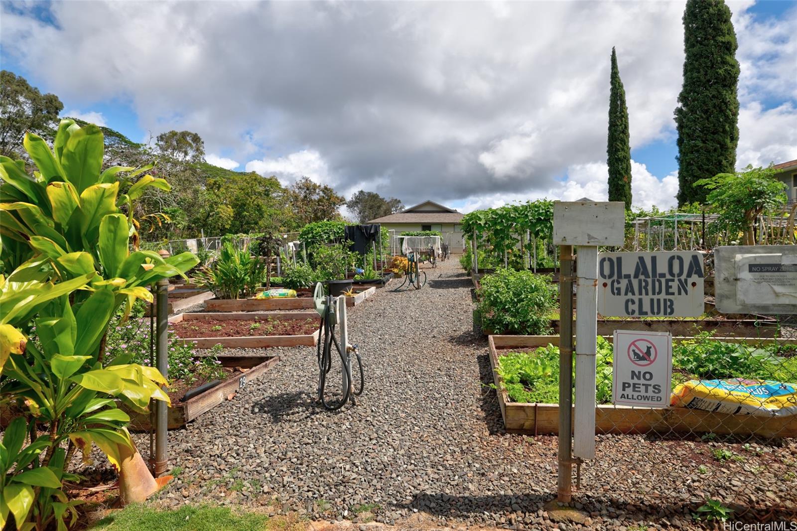 Olaloa 1 condo # 26M, Mililani, Hawaii - photo 18 of 24