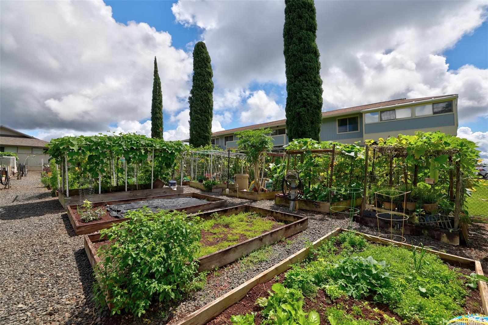 Olaloa 1 condo # 26M, Mililani, Hawaii - photo 19 of 24