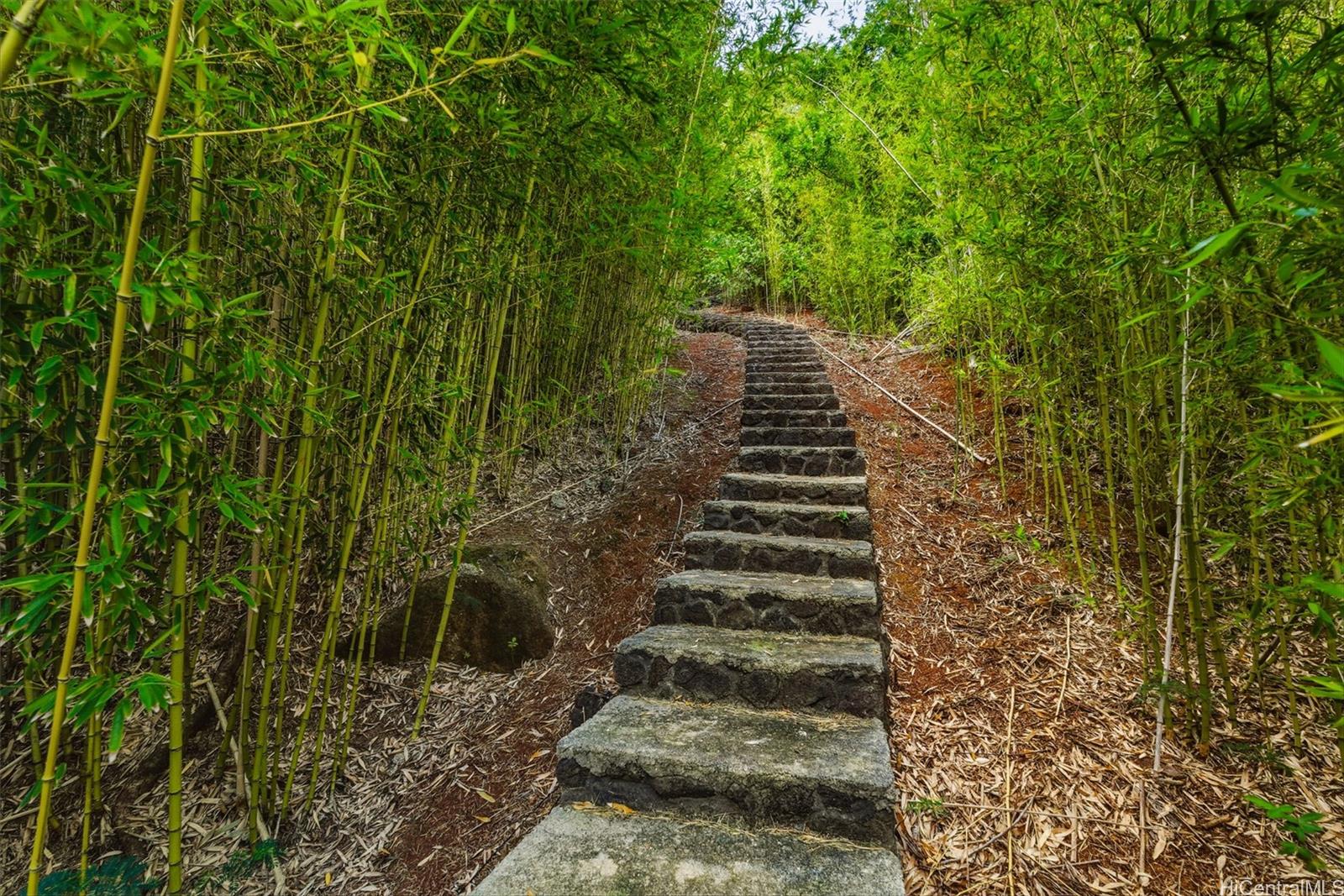 95-170  Waikalani Drive Waipio Acres/waikalani Woodlands, Central home - photo 24 of 25