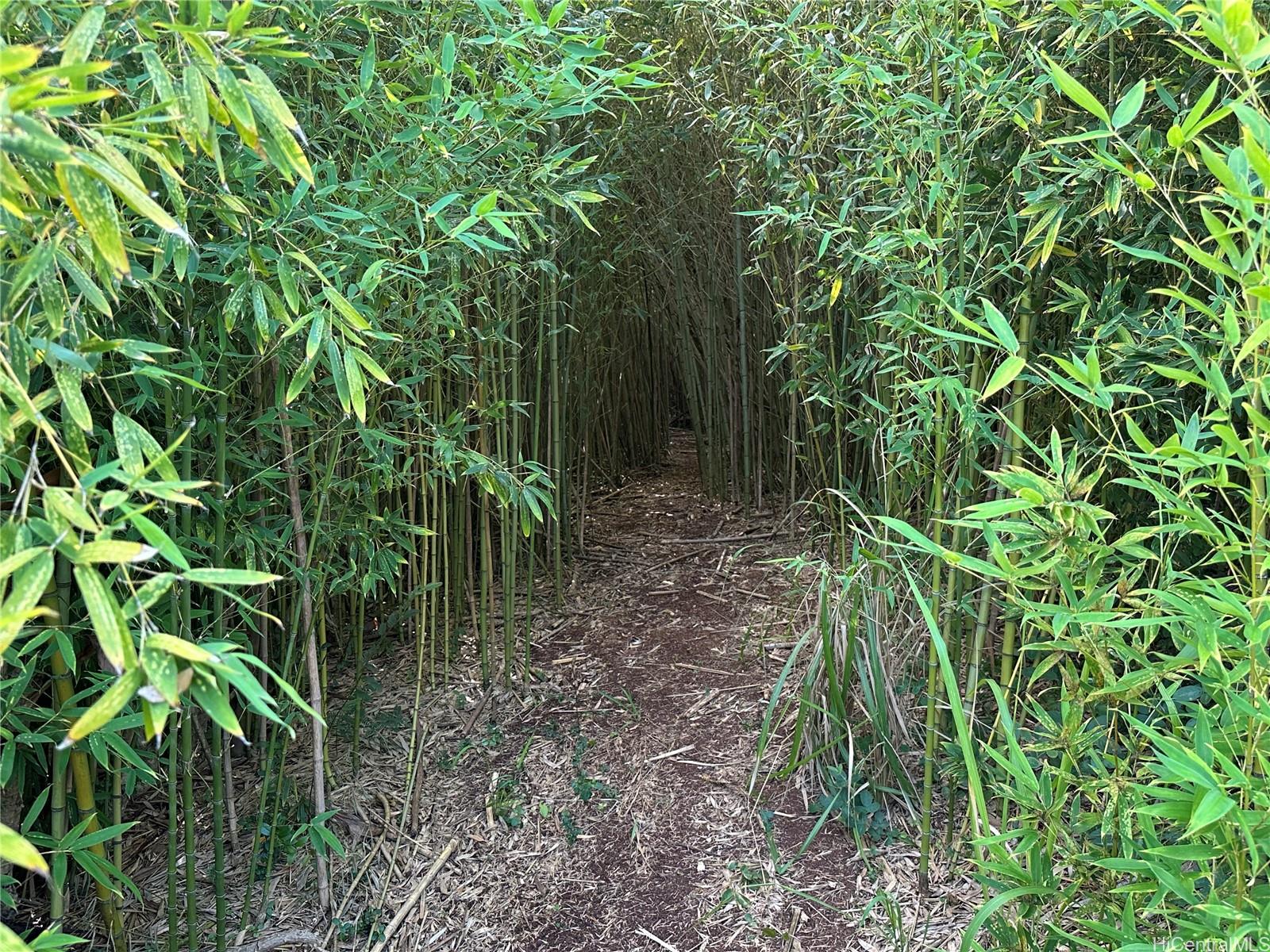 95-246  Wailawa Street Waipio Acres/waikalani Woodlands, Central home - photo 21 of 23