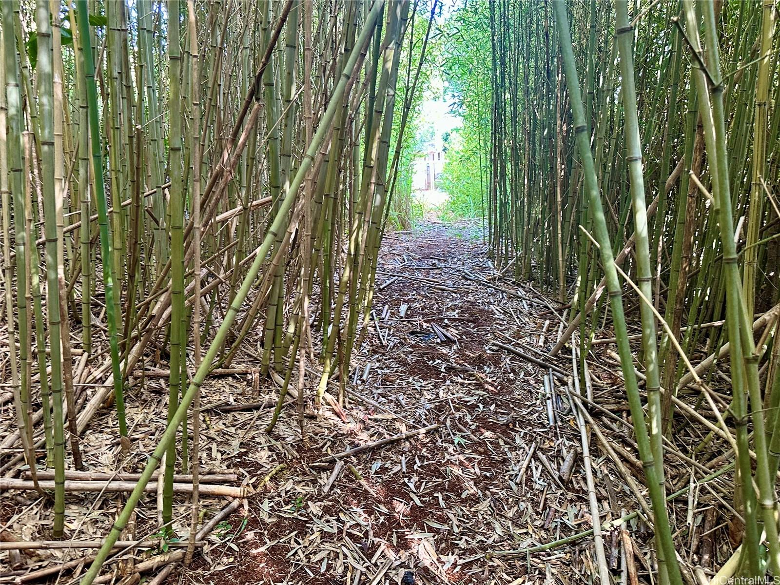 95-246  Wailawa Street Waipio Acres/waikalani Woodlands, Central home - photo 22 of 23