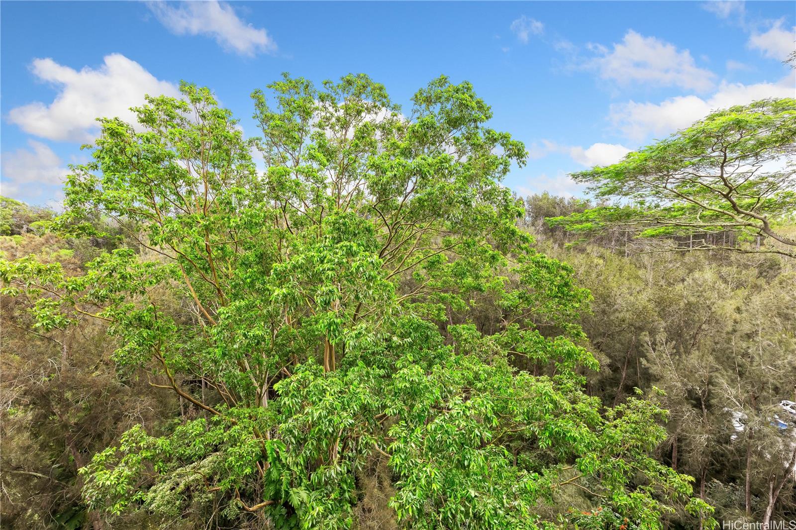 Waikalani Woodlands condo # C1203, Mililani, Hawaii - photo 12 of 14