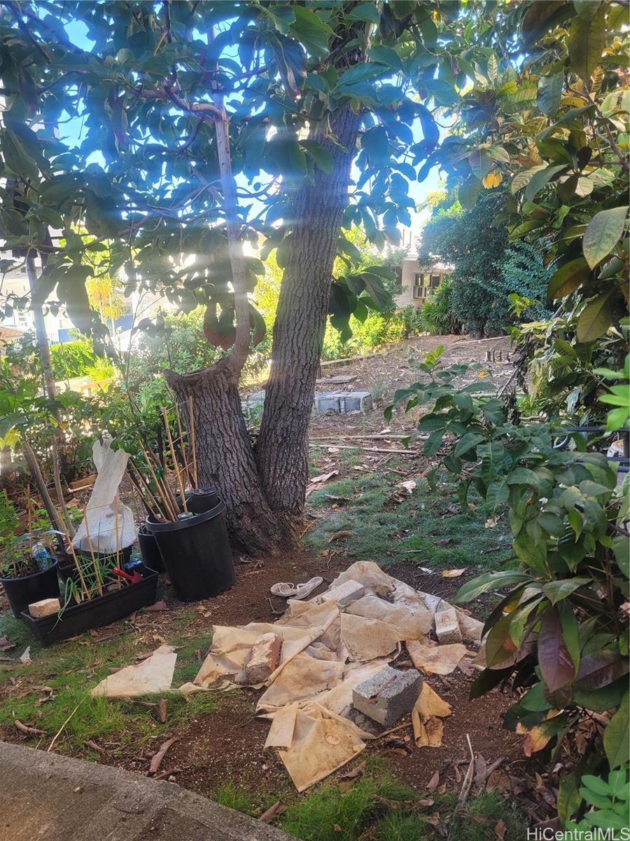 962 Spencer Street Honolulu - Multi-family - photo 4 of 10