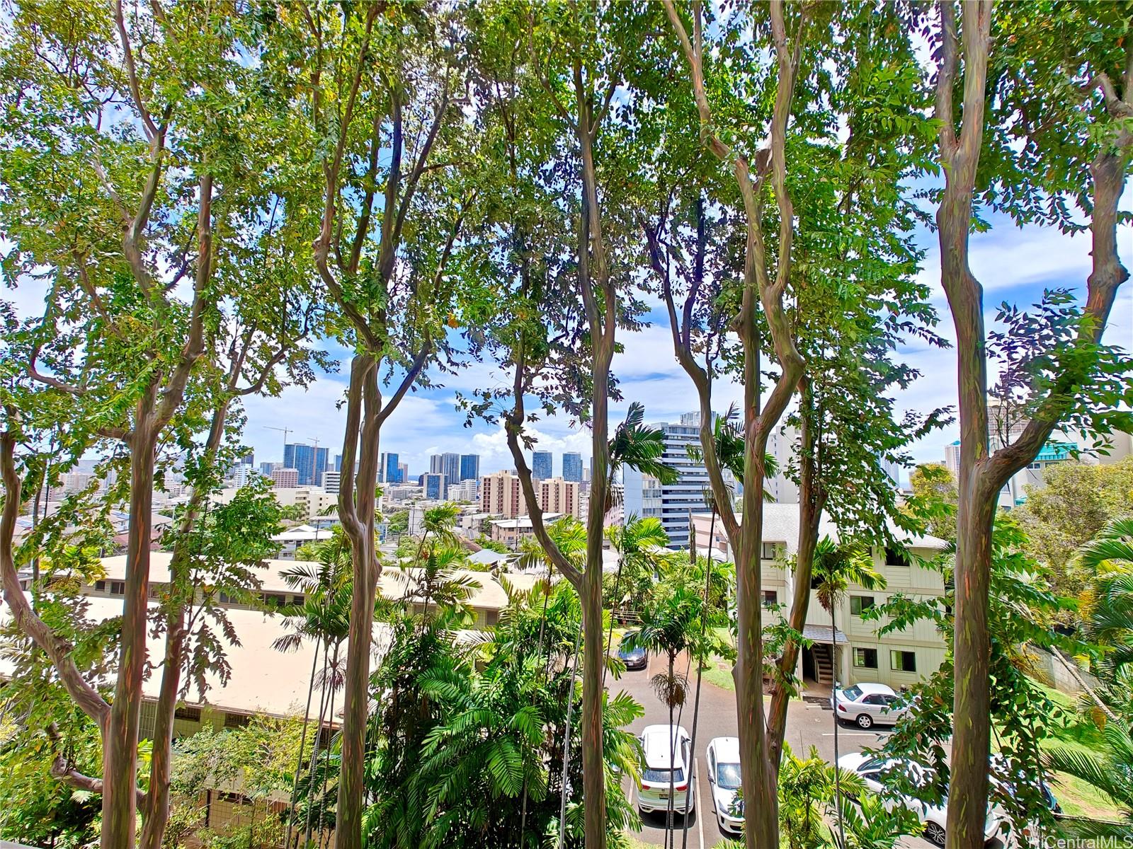 965 Prospect condo # 307, Honolulu, Hawaii - photo 18 of 21