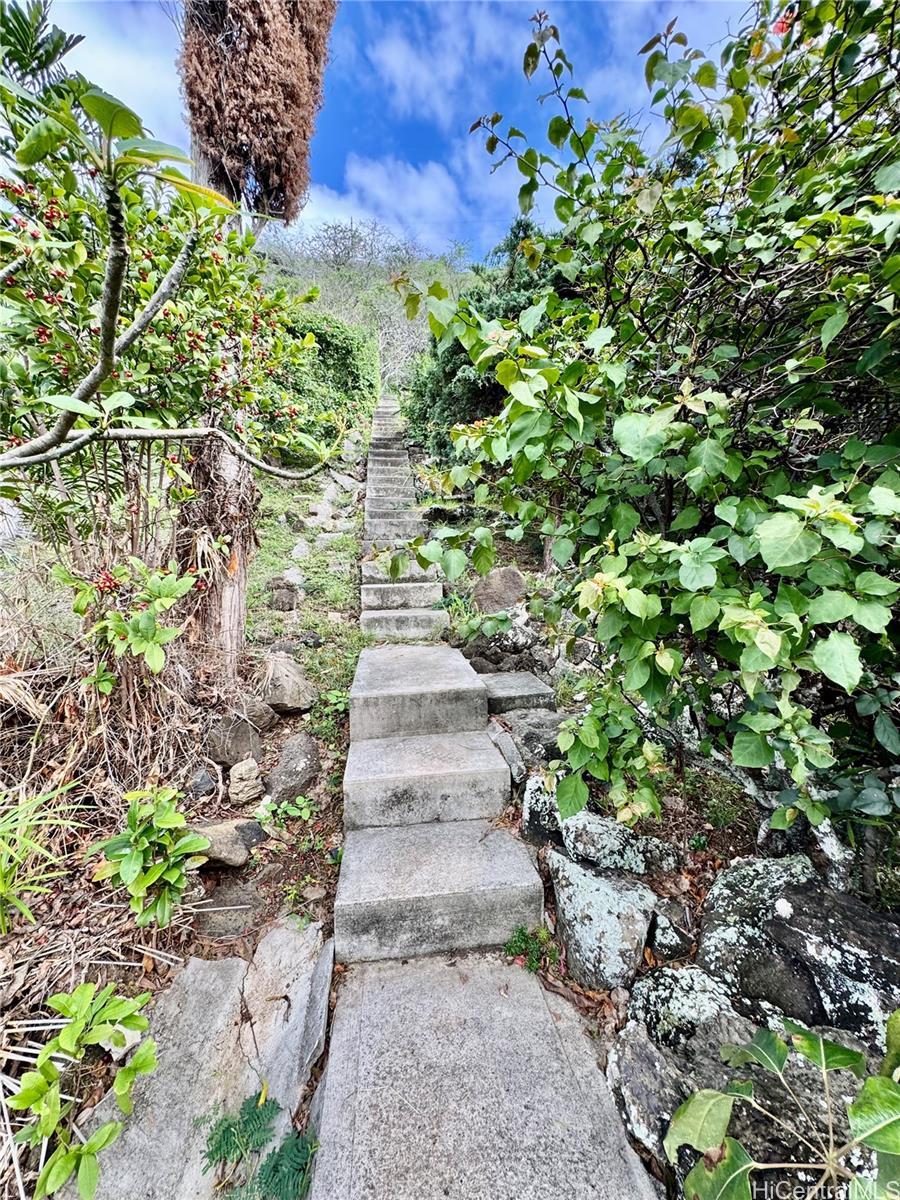 981 Wainiha St Honolulu - Rental - photo 22 of 24