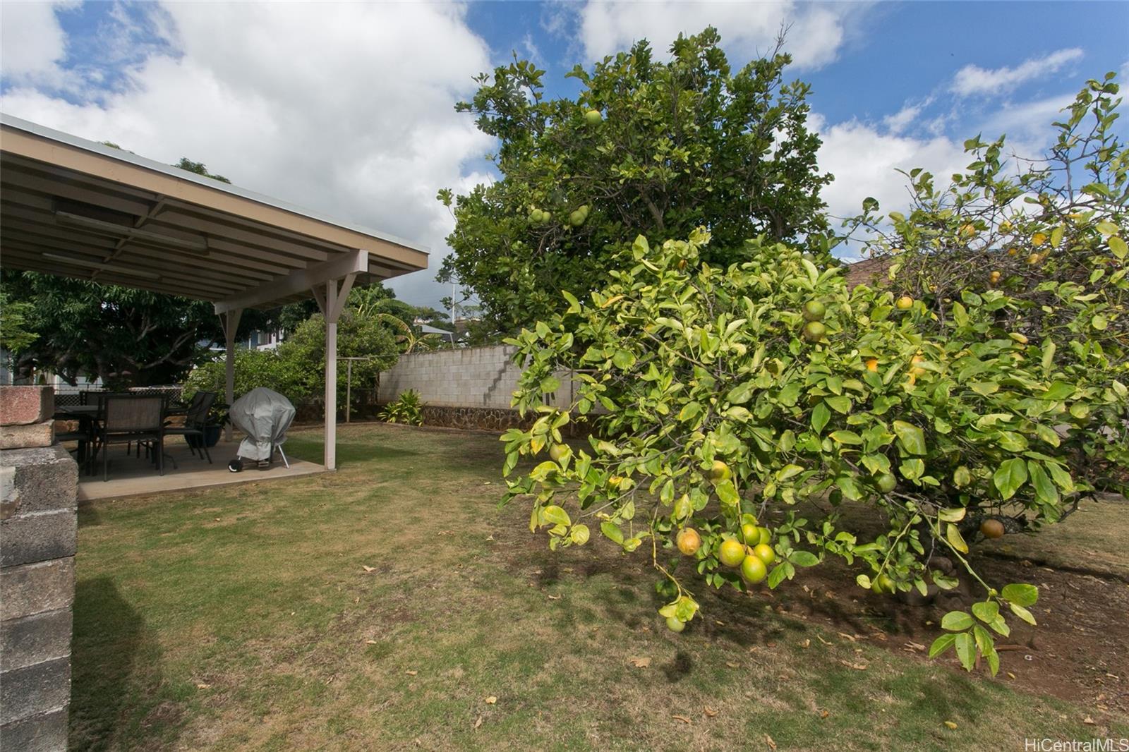 98-217  Oa Street Waimalu, PearlCity home - photo 20 of 22