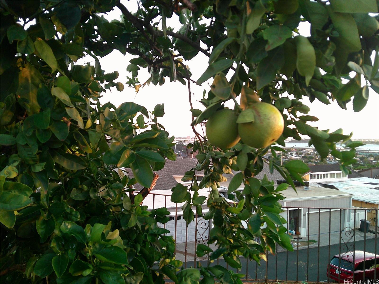 98-506 Lulu Street Aiea - Rental - photo 25 of 25