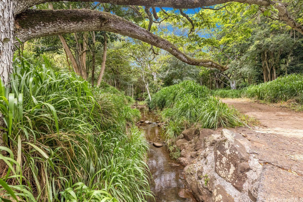 98-673 Kilinoe Street  Aiea, Hi vacant land for sale - photo 15 of 22