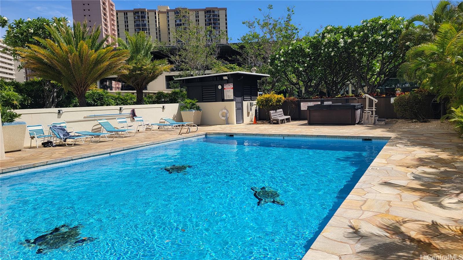 Franklin Towers condo # 22B, Honolulu, Hawaii - photo 7 of 11