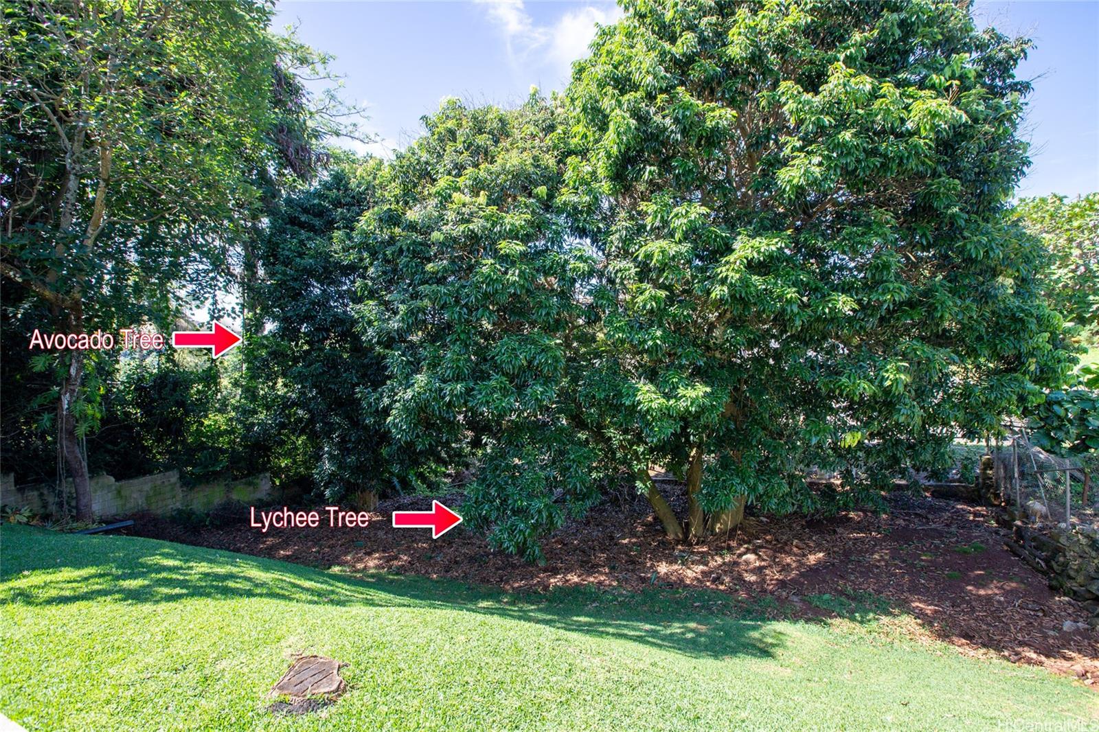 99-139  Heen Way Aiea Heights, PearlCity home - photo 22 of 25