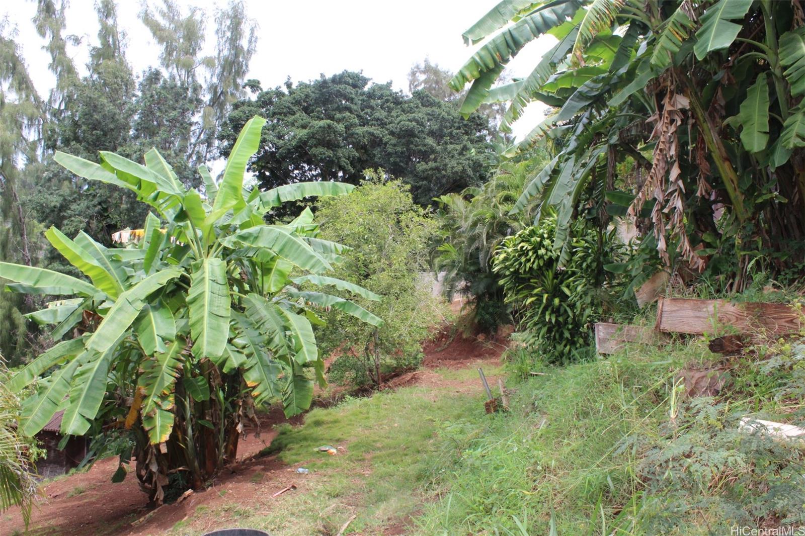 99-460 Fernridge Place C Aiea, Hi vacant land for sale - photo 2 of 12