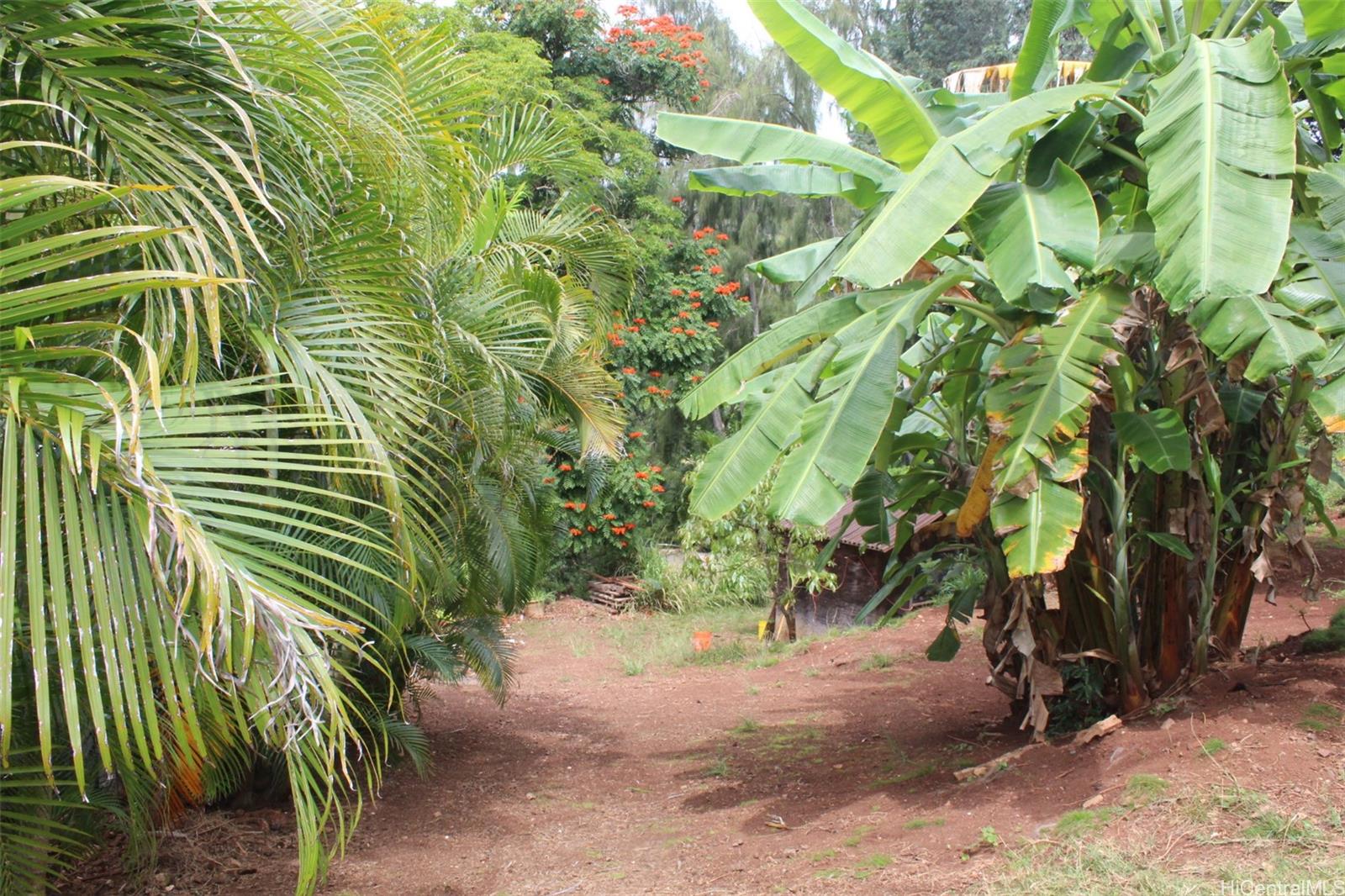 99-460 Fernridge Place C Aiea, Hi vacant land for sale - photo 3 of 12