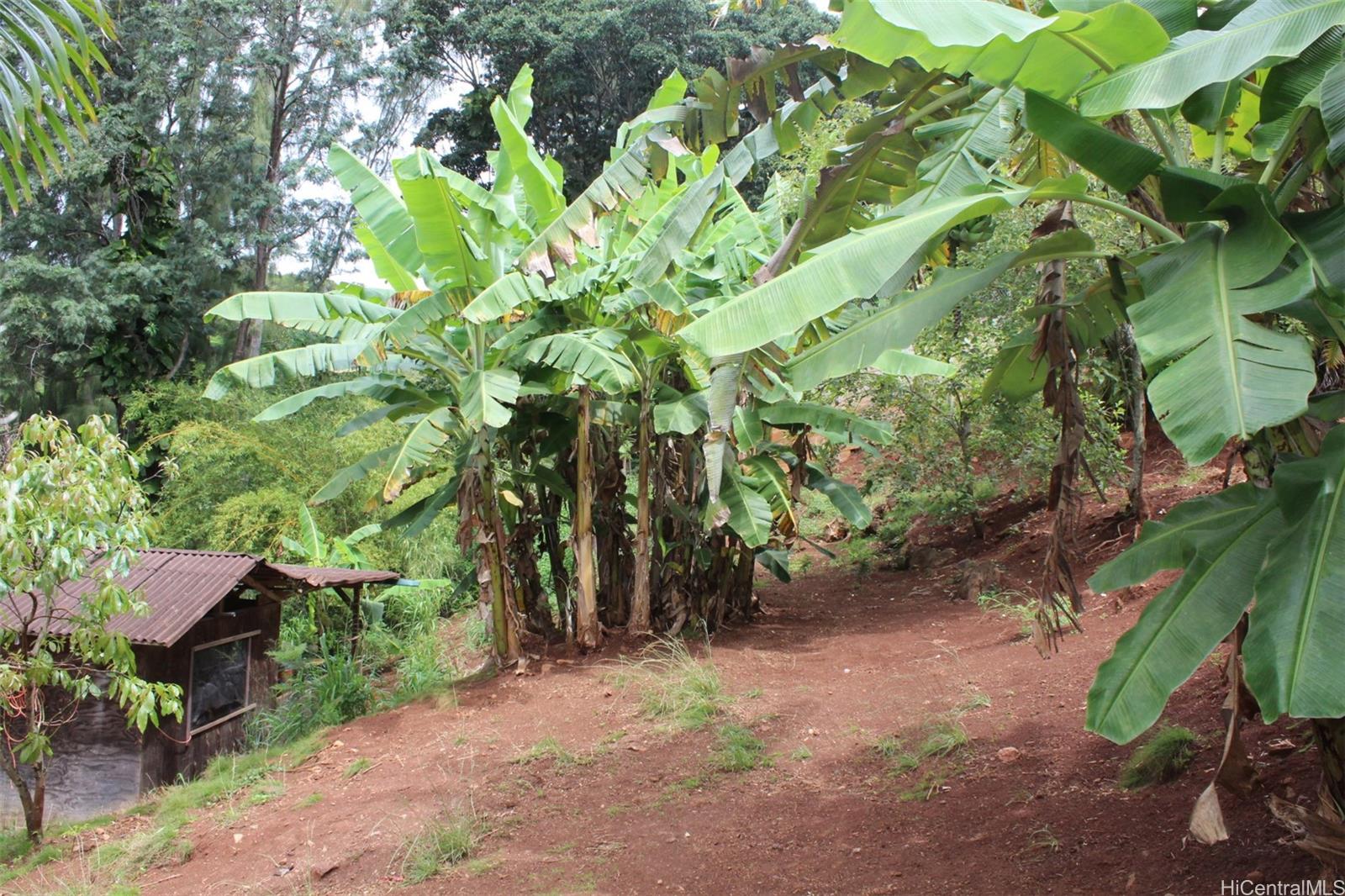 99-460 Fernridge Place C Aiea, Hi vacant land for sale - photo 4 of 12