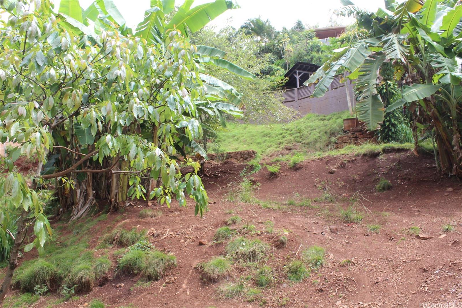 99-460 Fernridge Place C Aiea, Hi vacant land for sale - photo 5 of 12