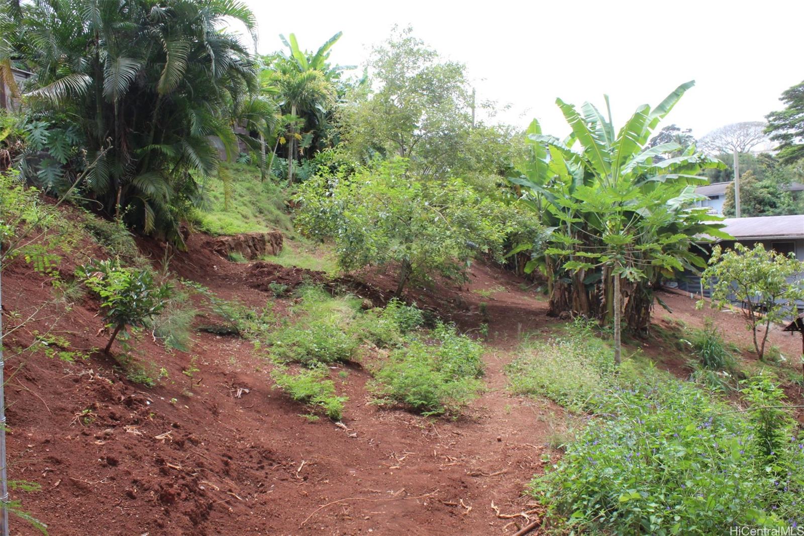 99-460 Fernridge Place C Aiea, Hi vacant land for sale - photo 7 of 12