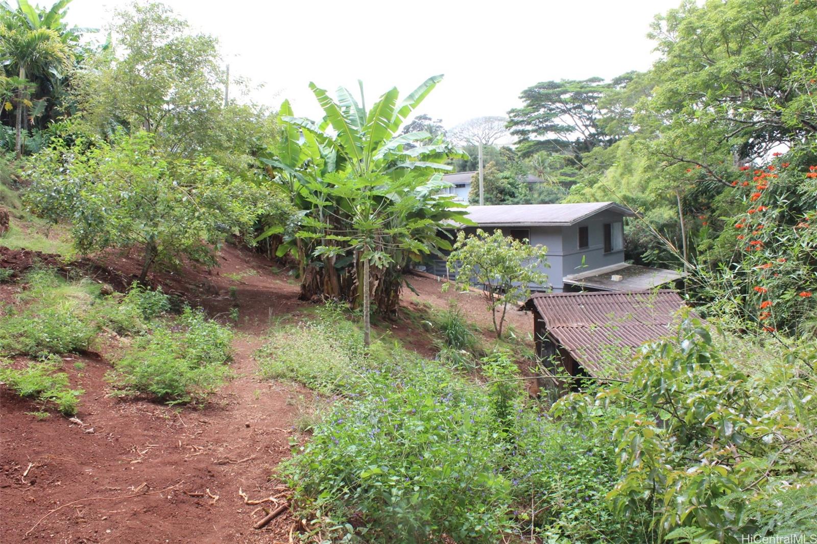 99-460 Fernridge Place C Aiea, Hi vacant land for sale - photo 8 of 12