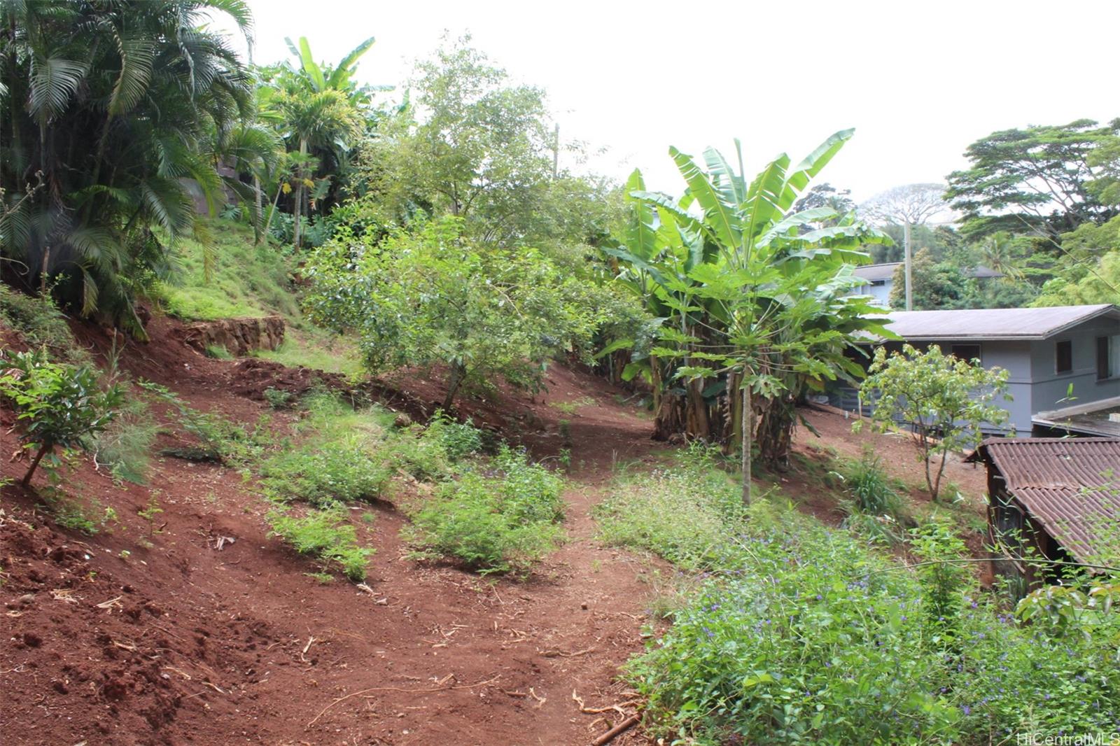 99-460 Fernridge Place C Aiea, Hi vacant land for sale - photo 9 of 12